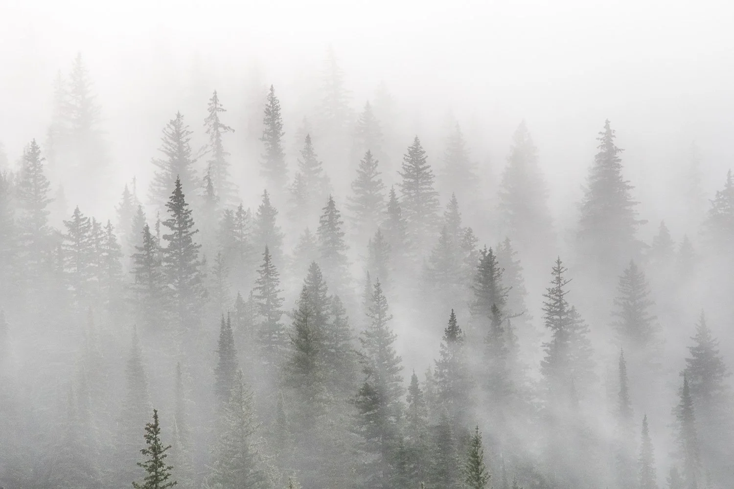 Glacier Fog krp cool-01.jpg