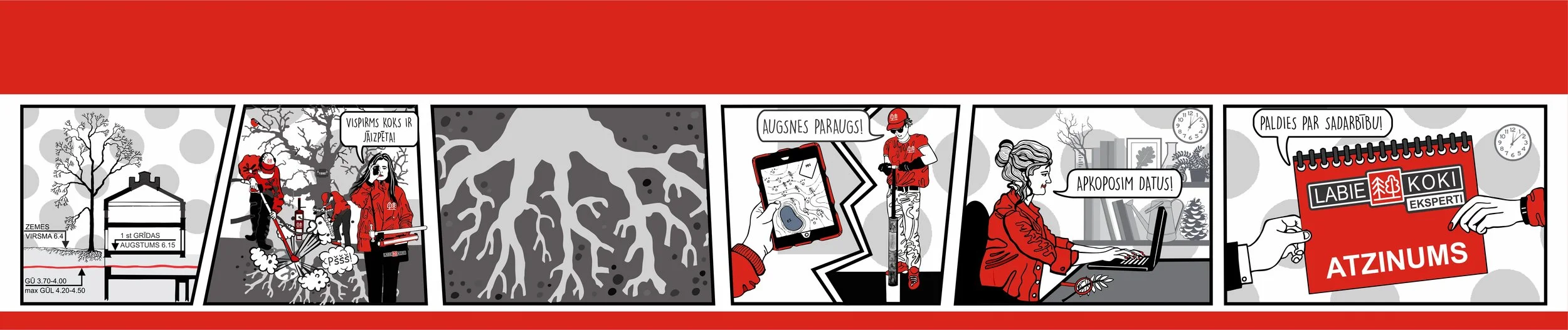 DENDROLOGA ATZINUMS PAR PLĀNOTĀS BŪVNIECĪBAS IETEKMI UZ KOKIEM