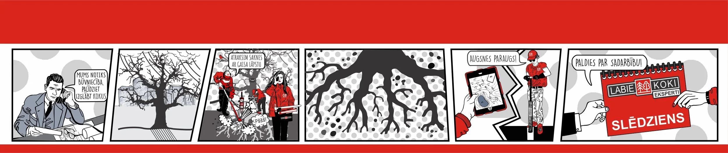 KOKA SAKŅU IZPĒTE, SLĒDZIENS