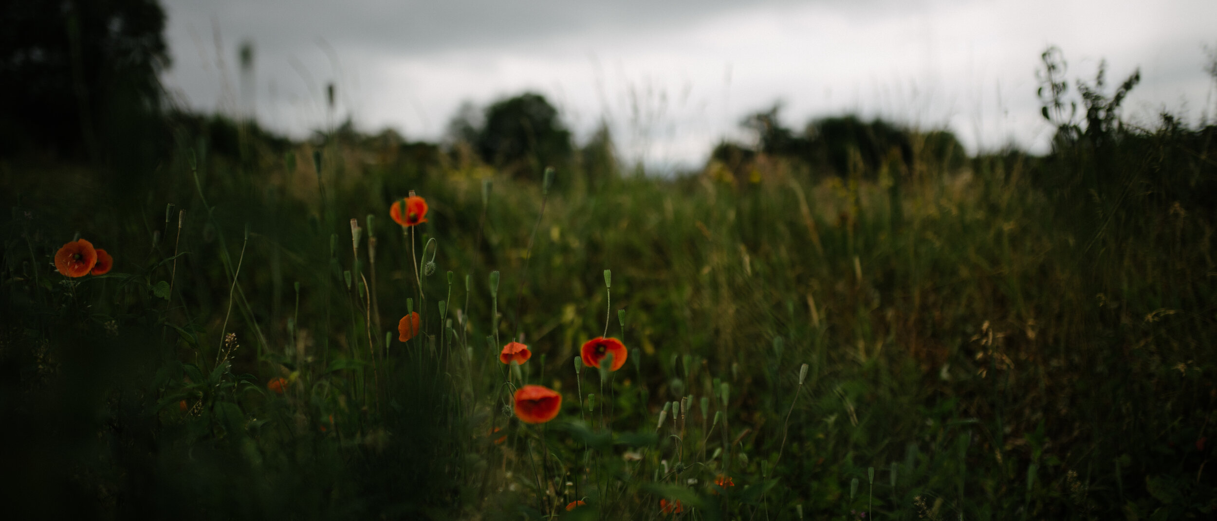 PhotoE_04.jpg
