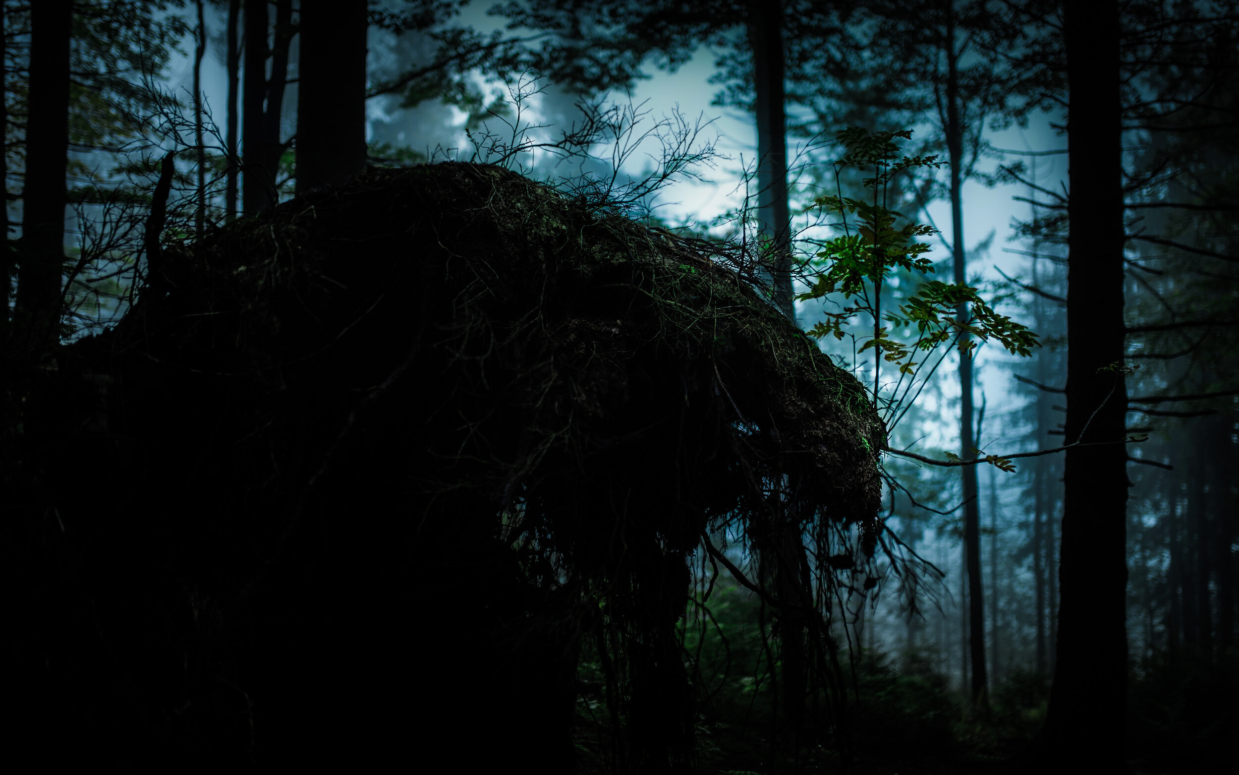 Entity II