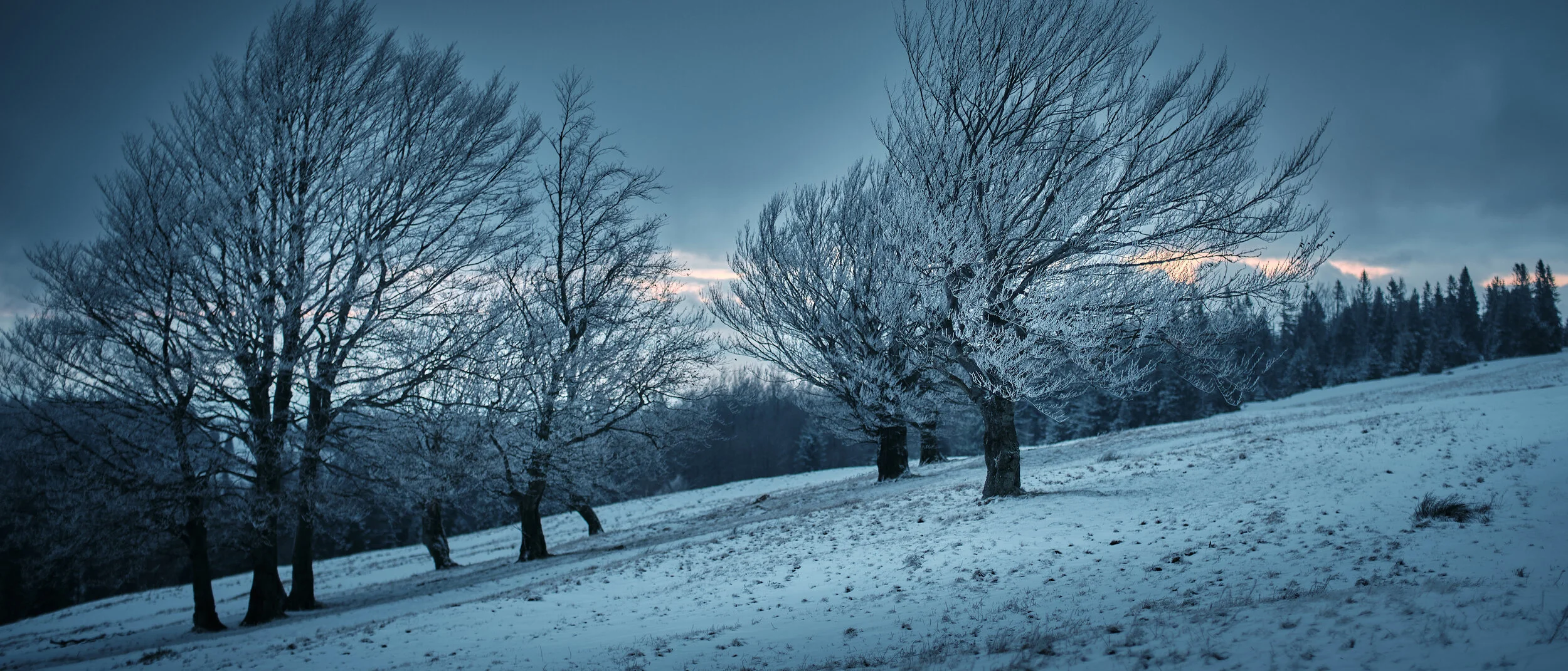   [ Beskidy Mountains, Mitakon 65 ]  