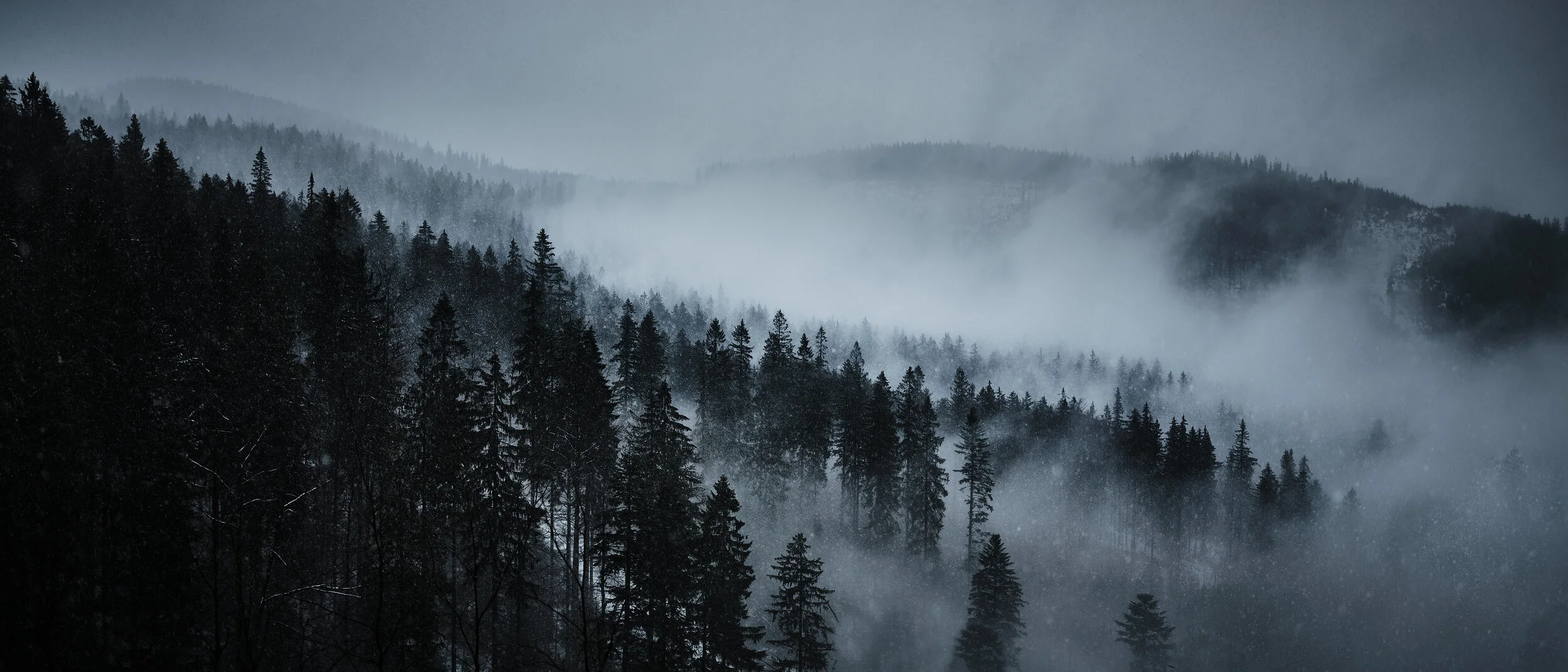   [ descending from Pilsko Mountain, Fuji GF 45 ]  