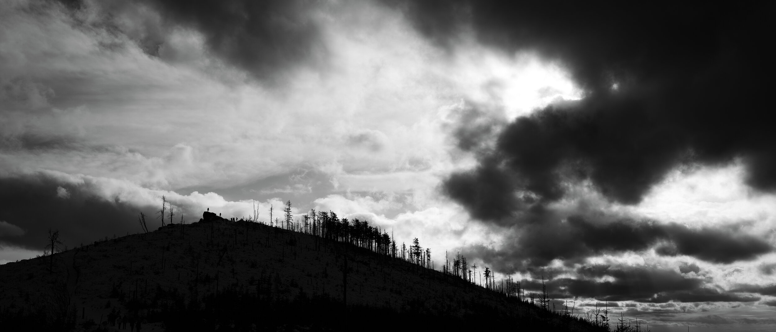 Image_159b.jpg