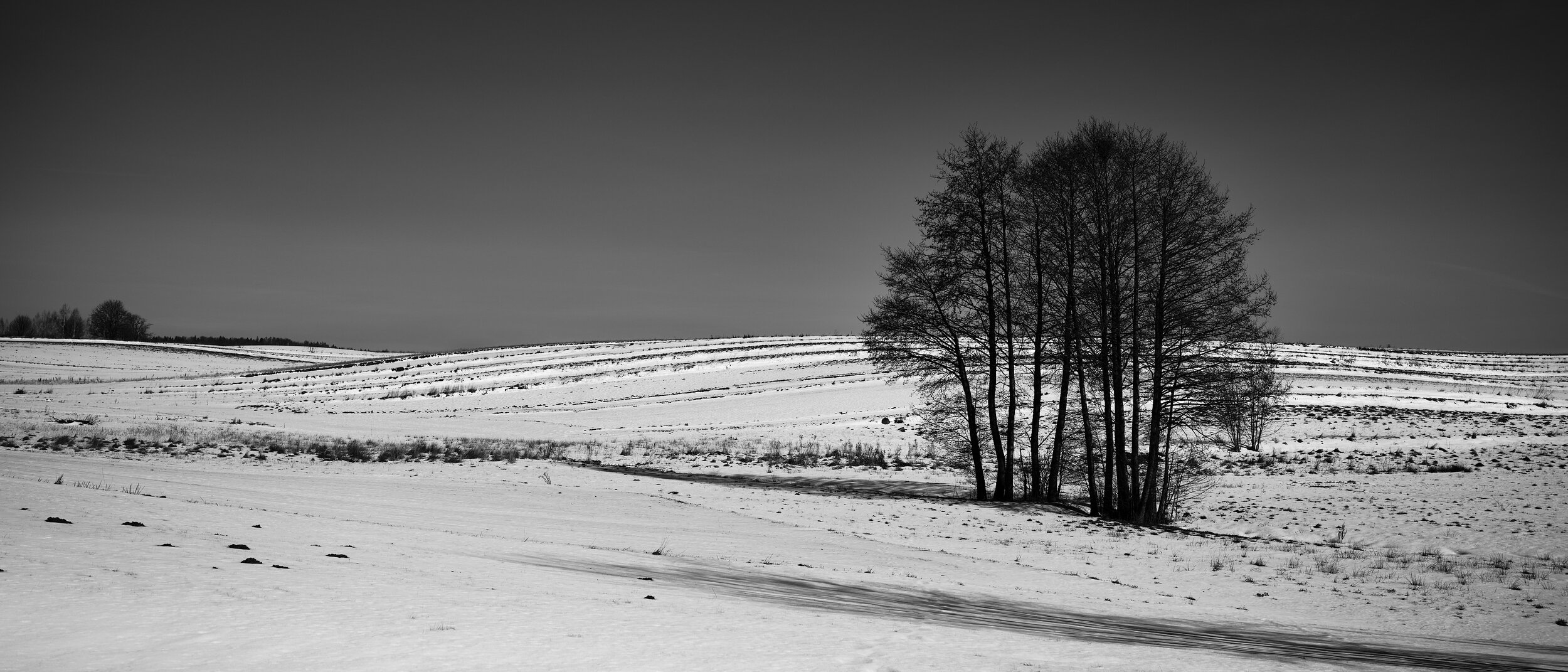 Image_347.jpg