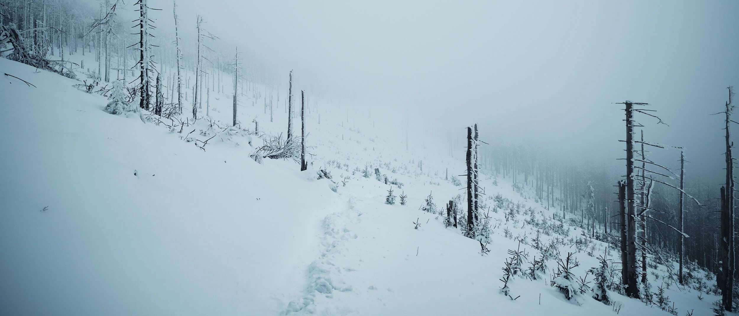   [ Beskid Zywiecki Range, Fuji GF 23 ]  