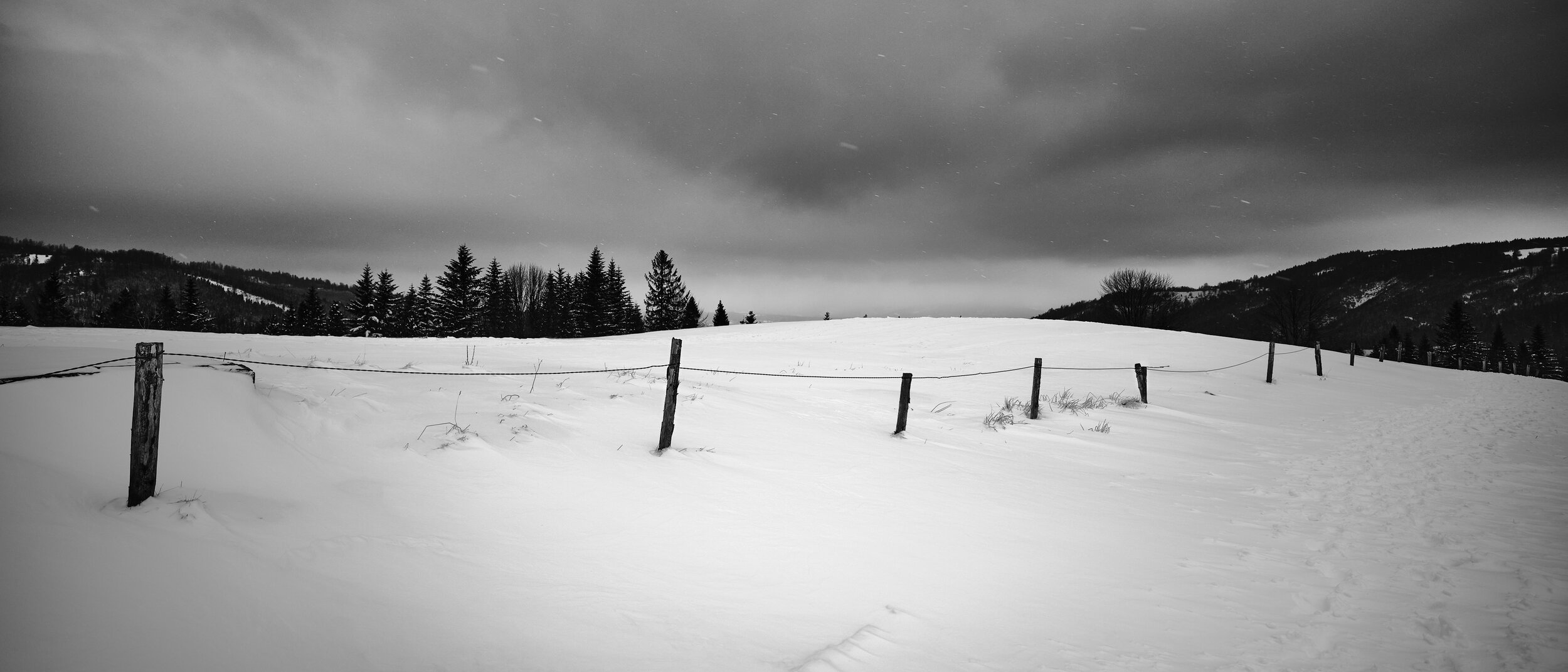 Image_617.jpg