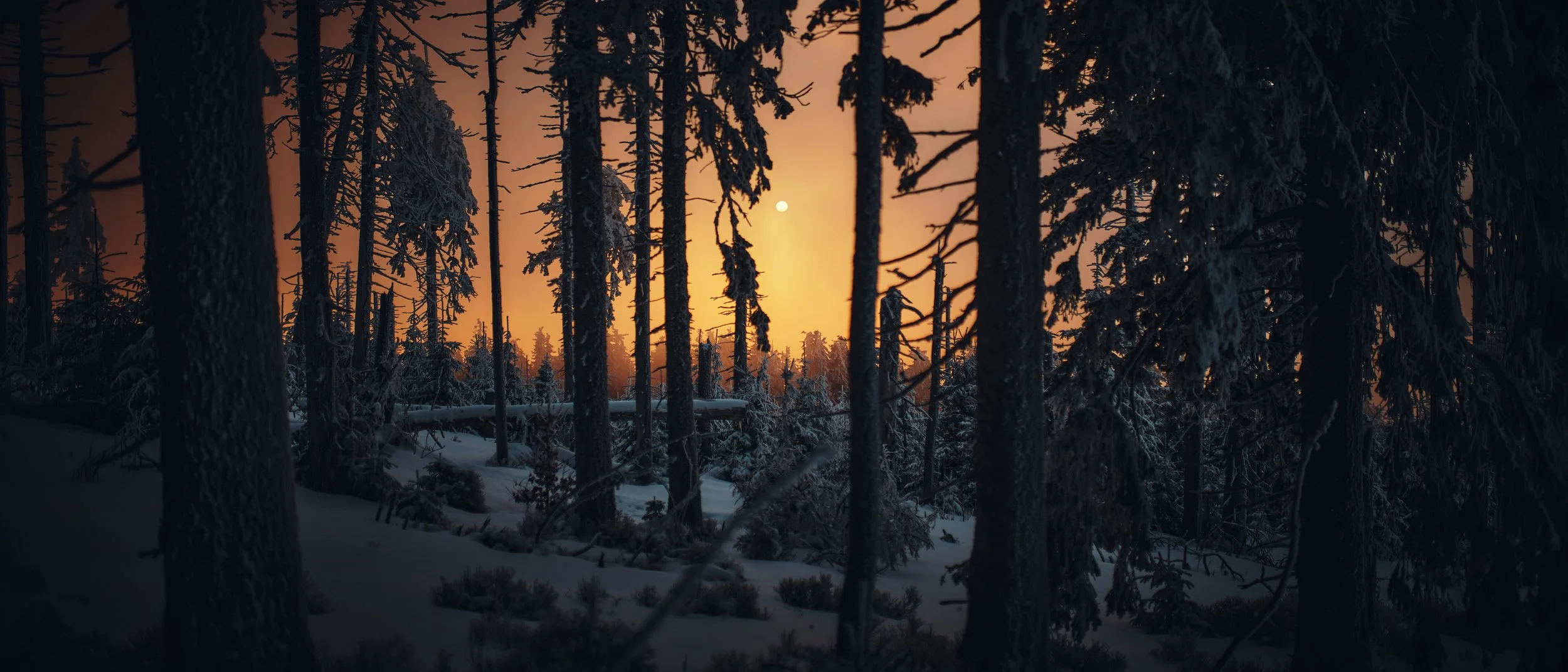   [ descending from Little Babia Gora, first place in “Beskidy stopped in the frame 2023” ]  
