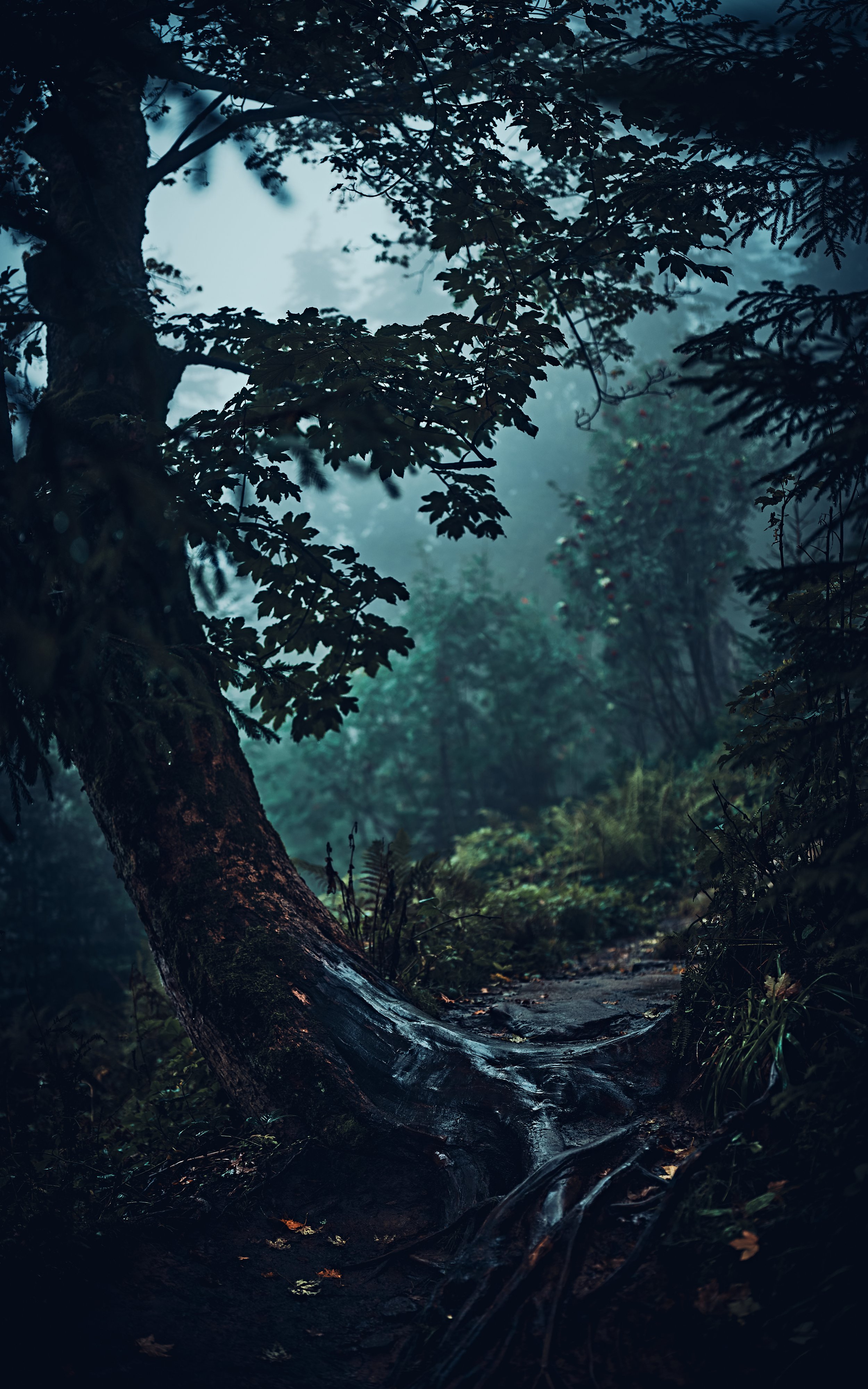  [ on the slope of “Sheep Mountain”, first place in “Beskidy stopped in the frame 2023” ]  