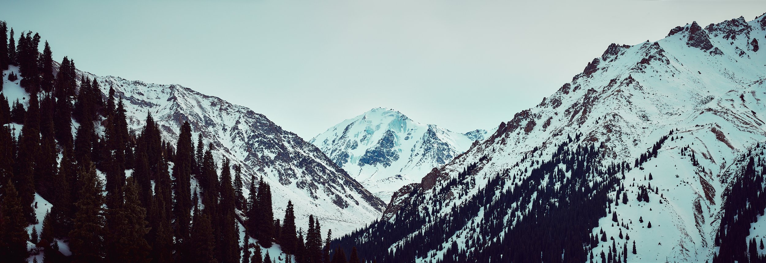 Perceptions of nature