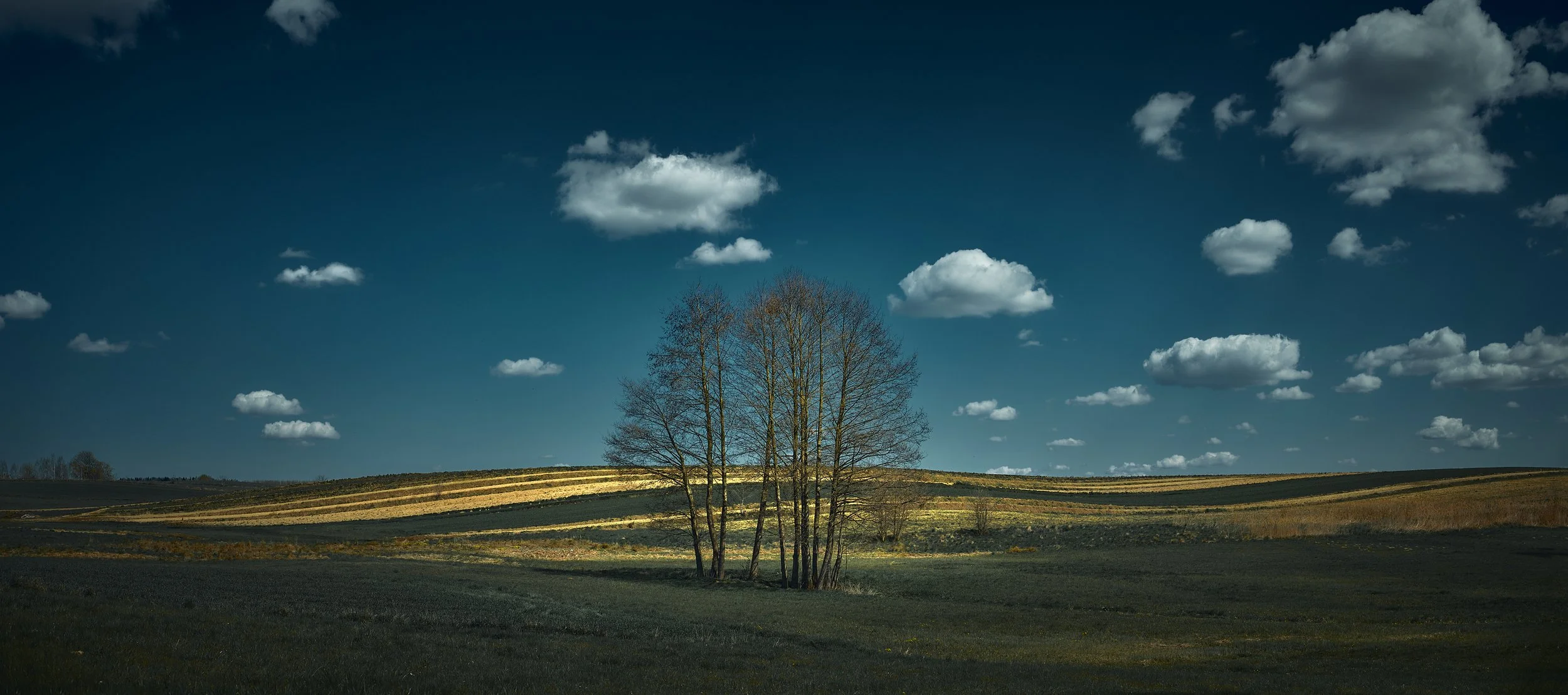   [ on the way to Swietokrzyskie Mountains, early spring ]  