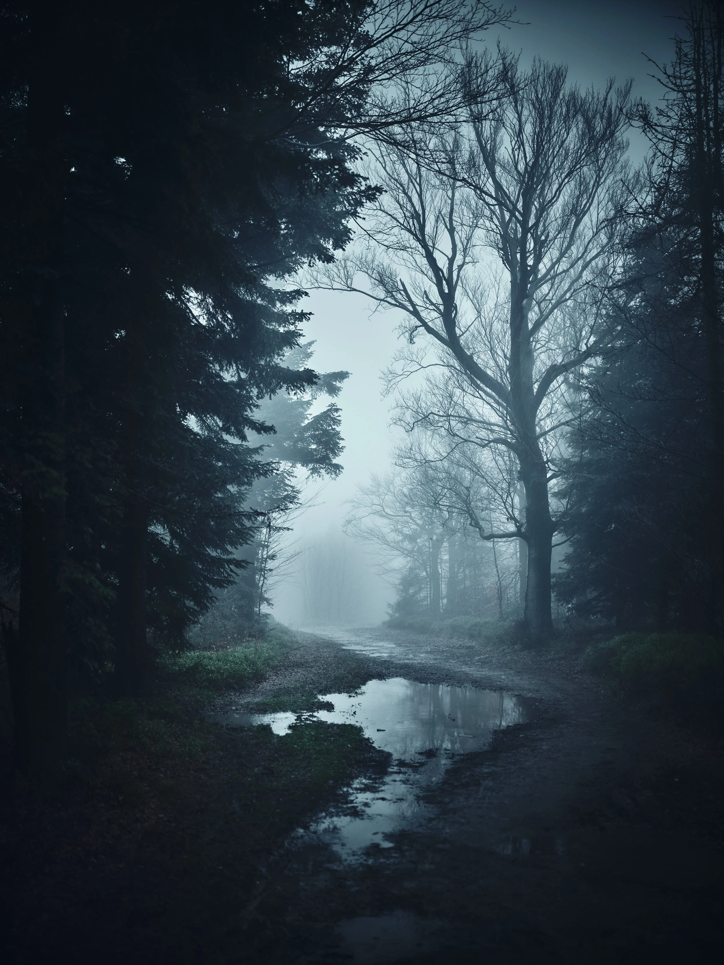   [ between “Magurka” and “Czupel”, Little Beskids, first place in “Beskidy stopped in the frame 2023” ]  