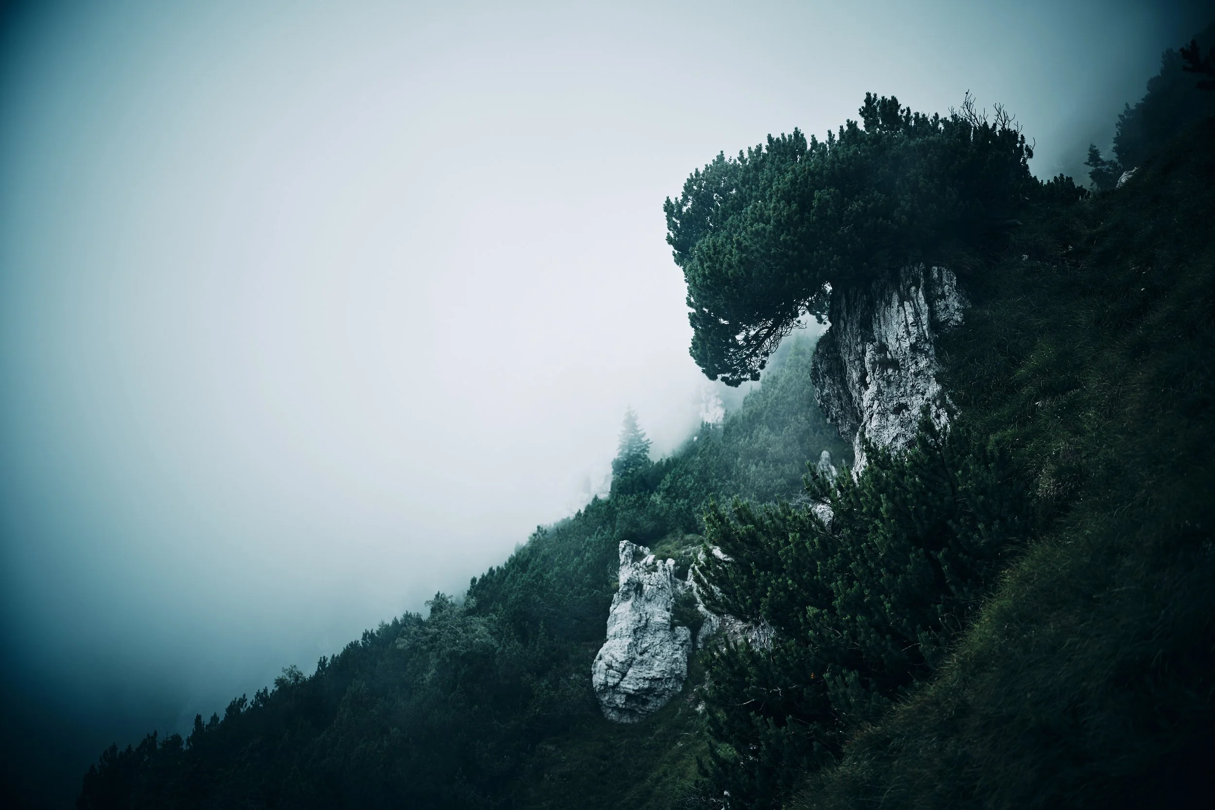   [ on the way to Monte Caplone, Southern Limestone Alps, Italy, more on it     here     ]  