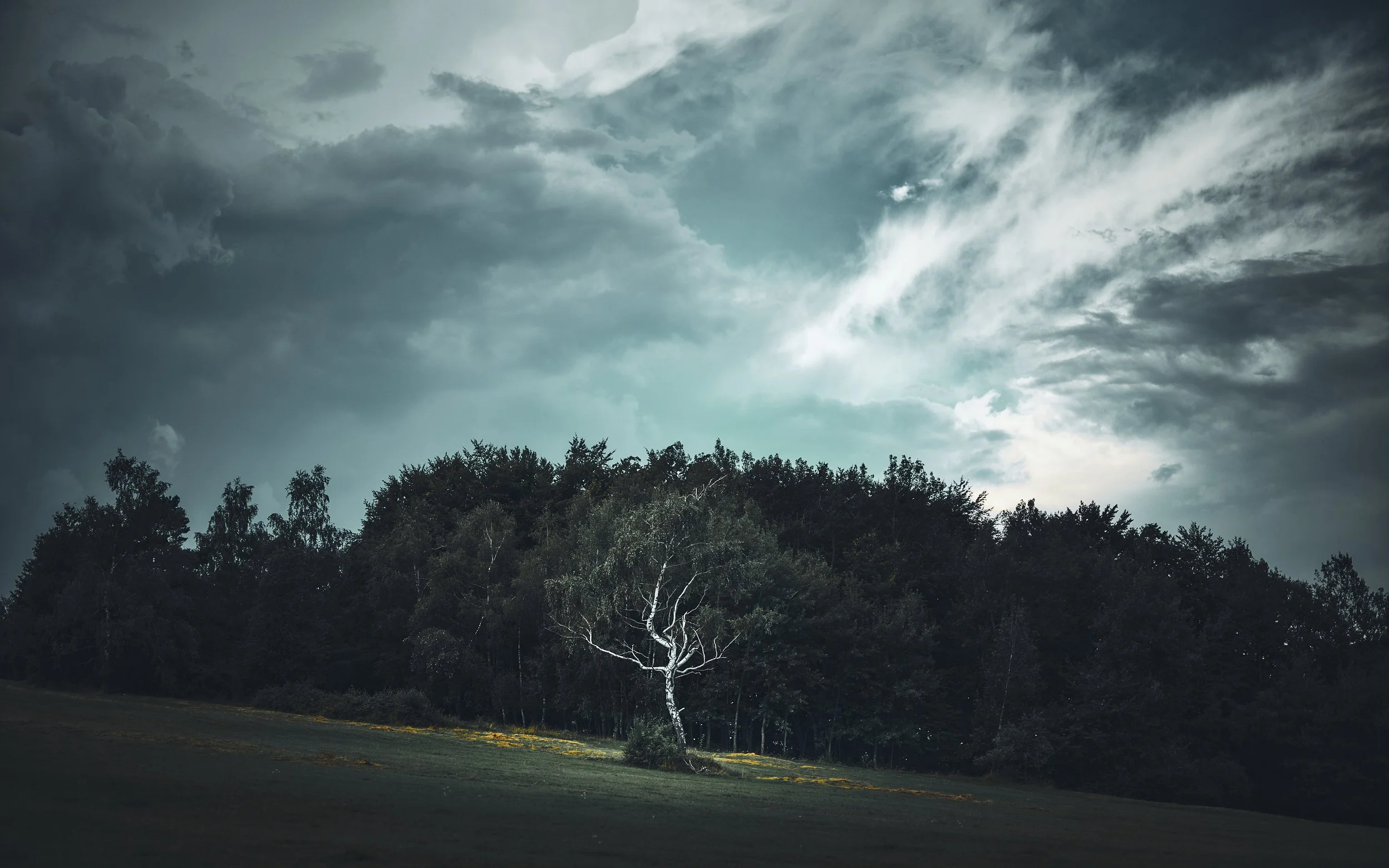   [ this and some following images come from my Low Beskids second trek in the late summer ]  
