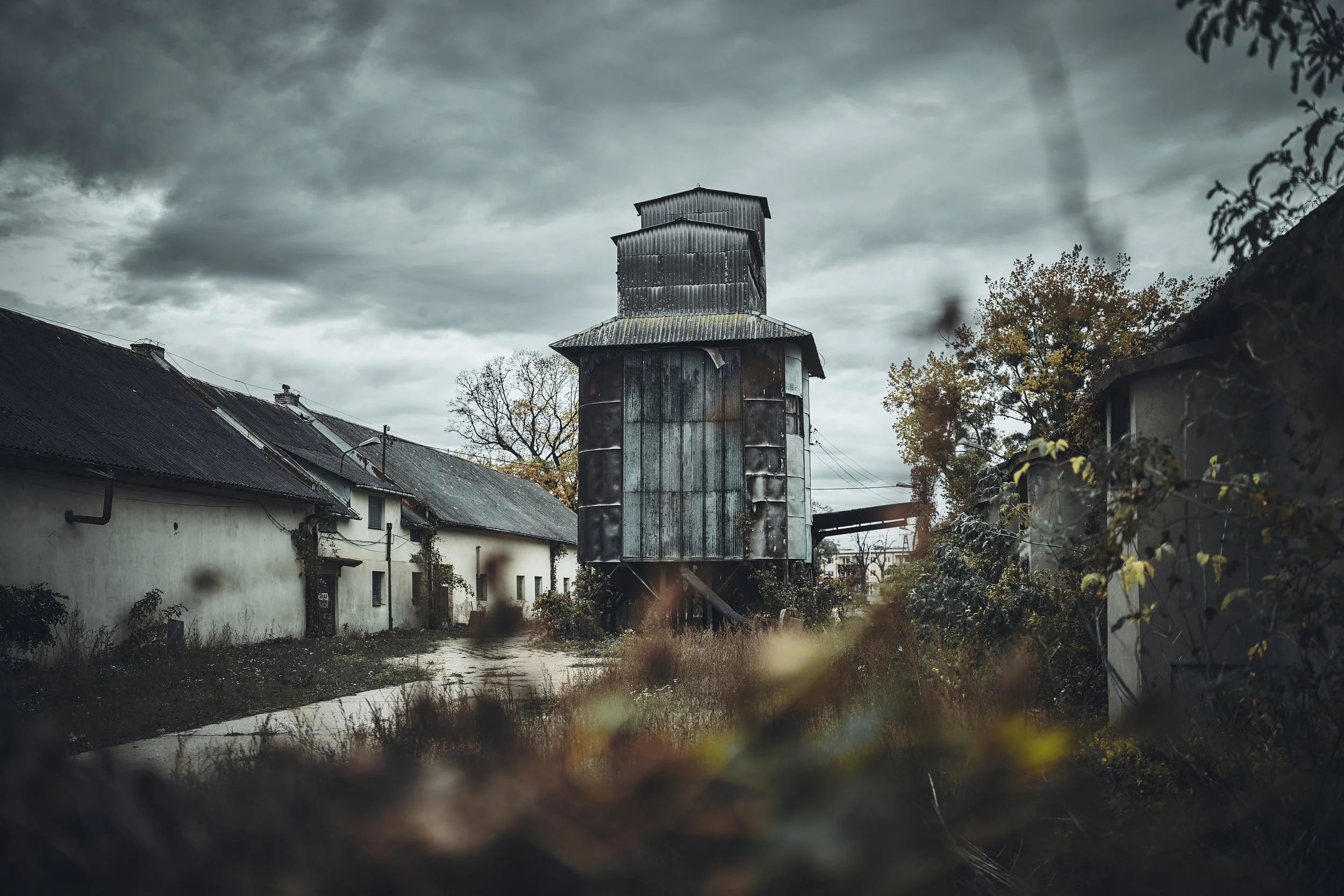   [ remains of State Agricultural Farm / “PGR” again, this time in Warsaw, Poland ]  