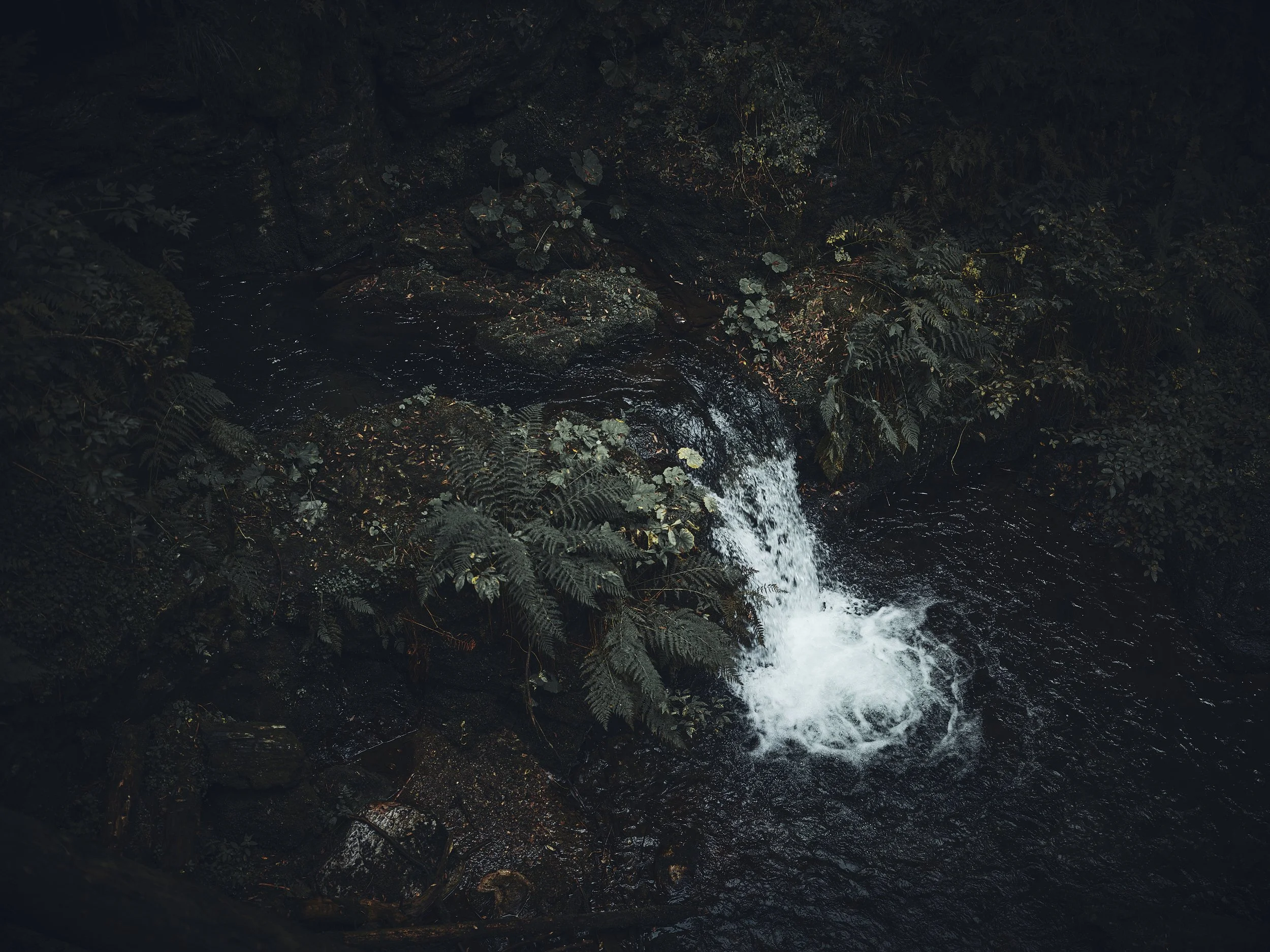   [ Waterfalls White Opava, Czech Republic ]  