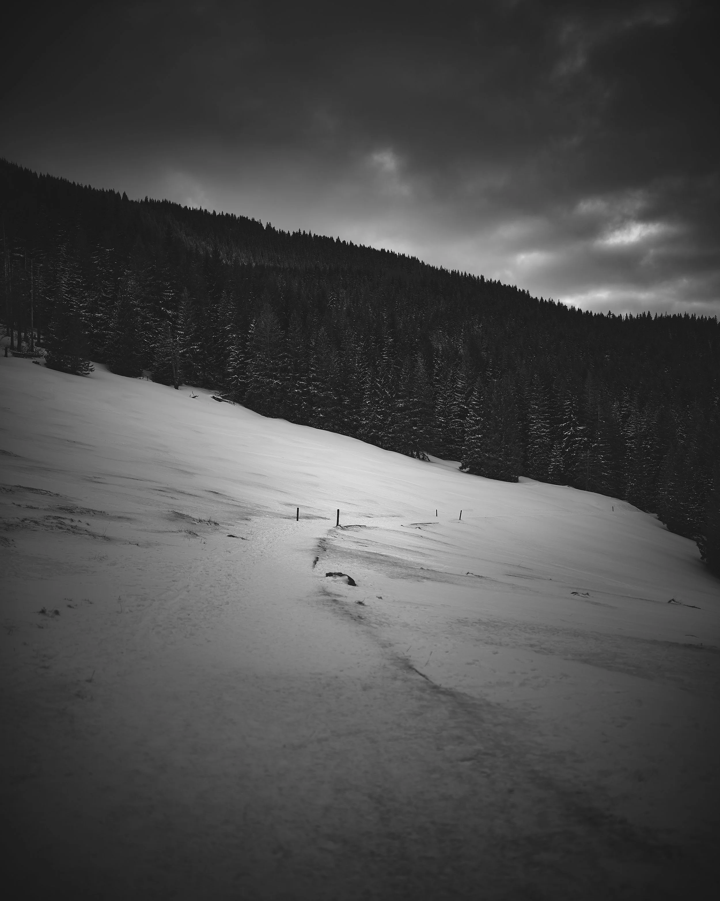   [ going back from Rusinowa Polana, Tatra Mountains ]  