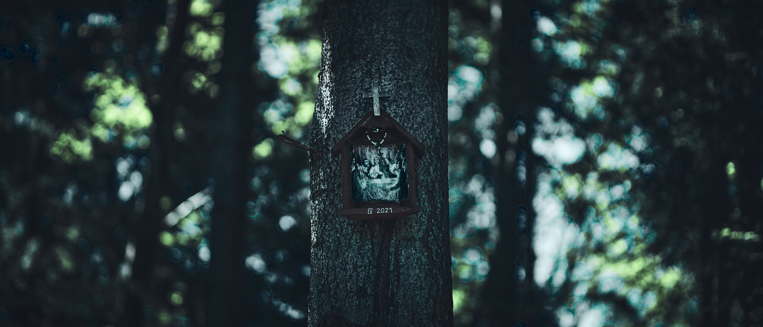 [ somewhere near "Lysa Gora" summit, but this time in Little Beskids, few steps from city of Bielsko-Biala. That can be a little surprise as most famous "Lysa Gora" is located in Swietokrzyskie Mountains, with legends of witches gatherings each kid