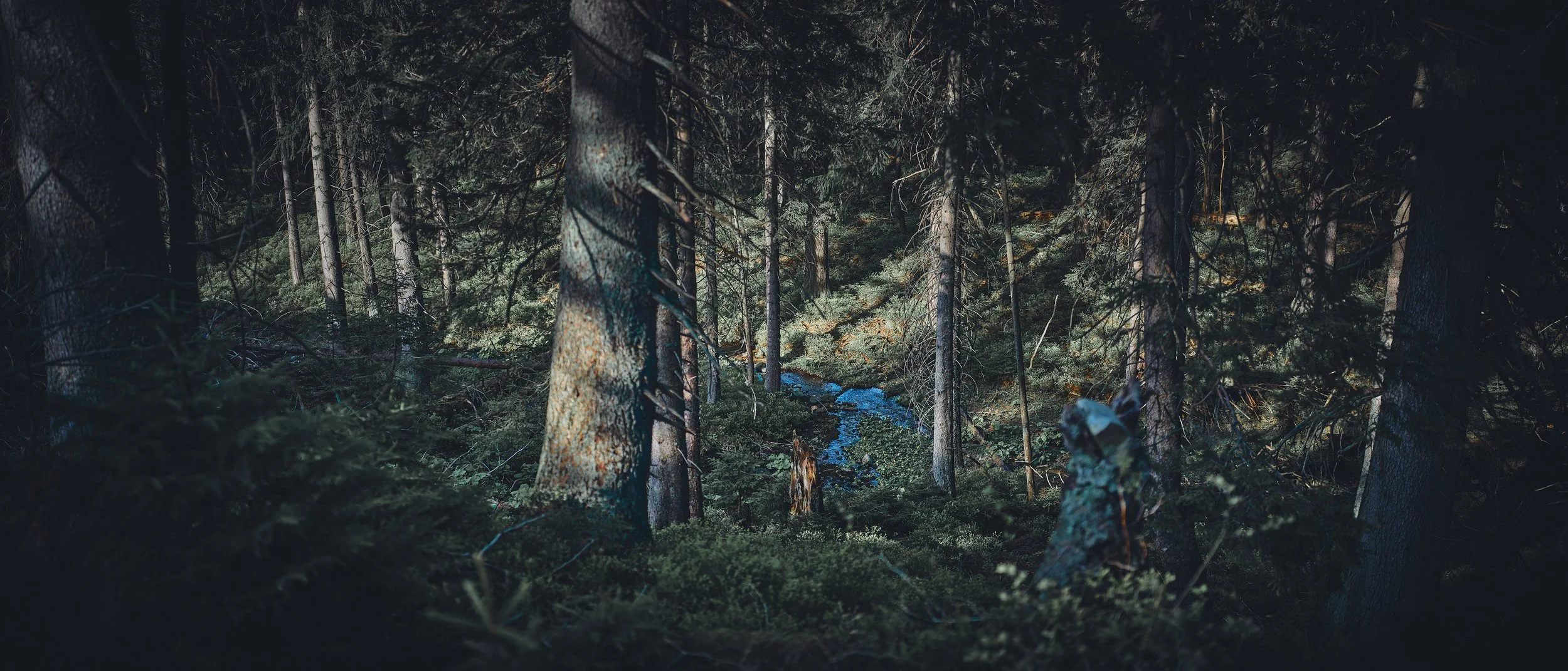   [ this photo as well as few following ones were taken under “Babia Gora”, along the lovely blue trail ]  