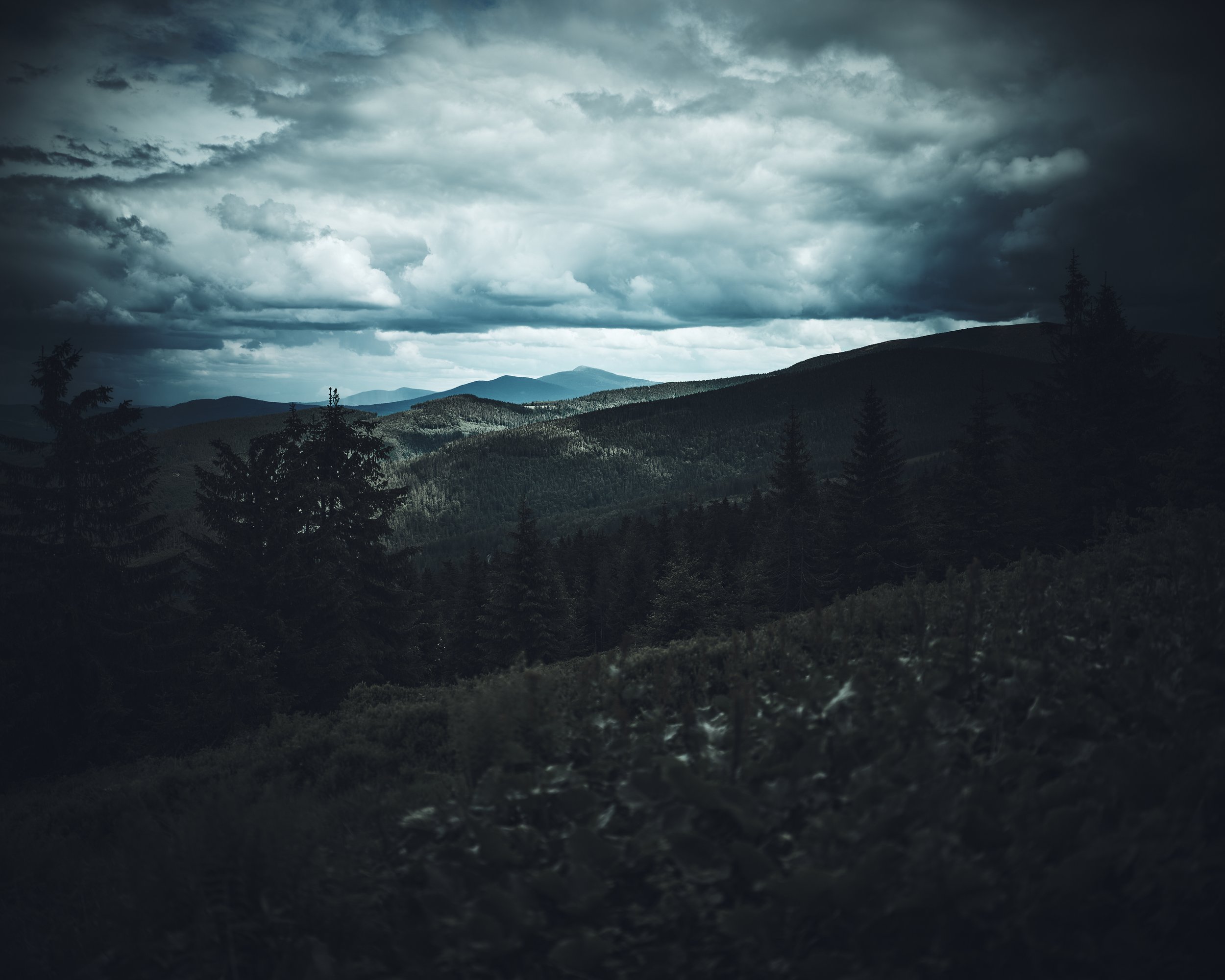 Image_8157.jpg