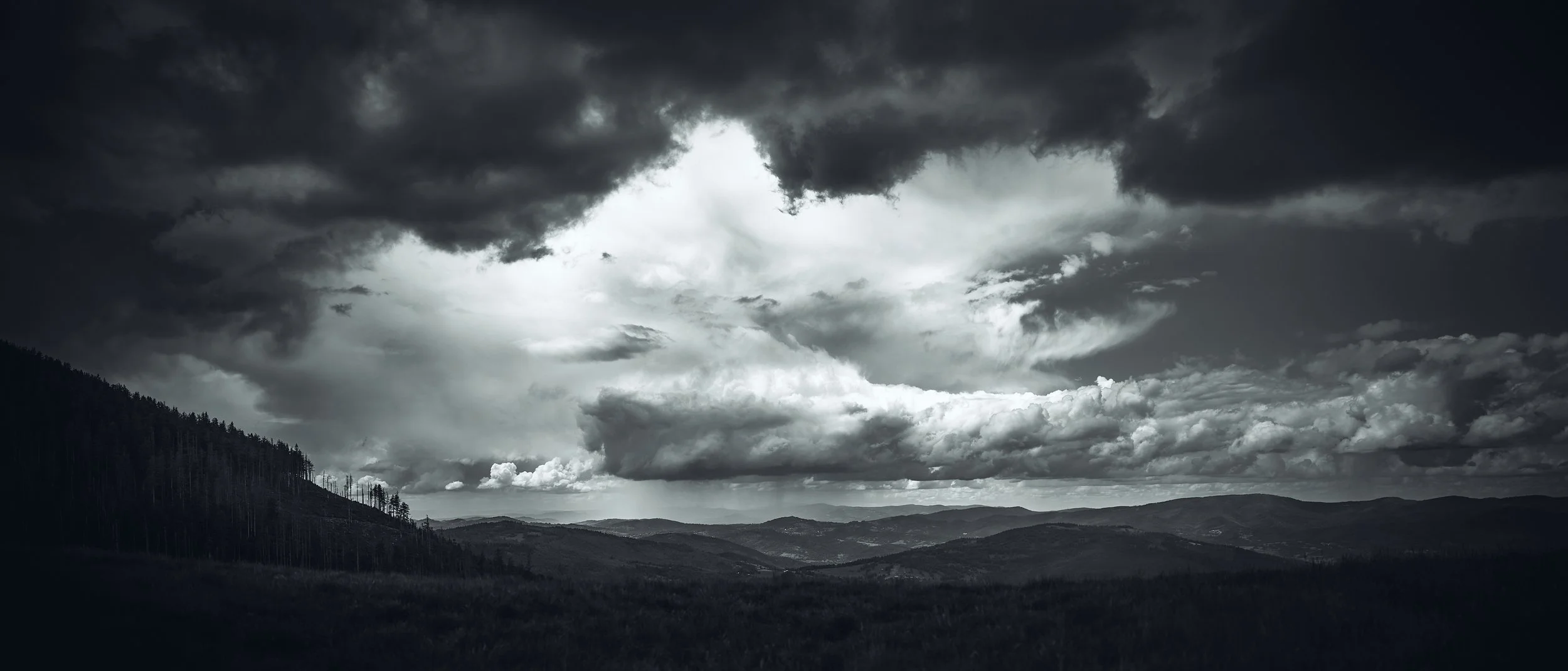   [ on our way to "Mountain Glade Rysianka", late, cloudy spring ]  