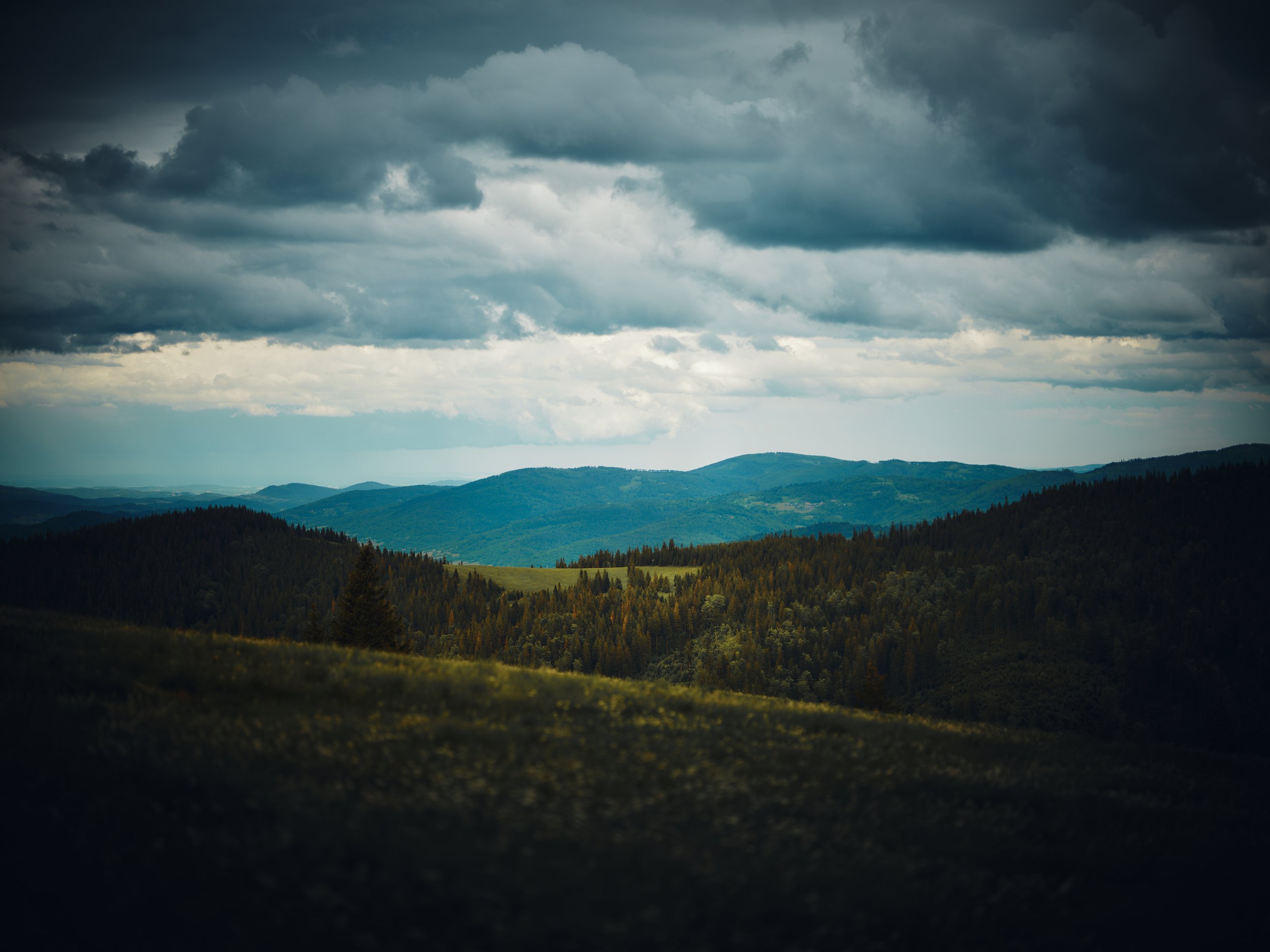 Image_8203B.jpg