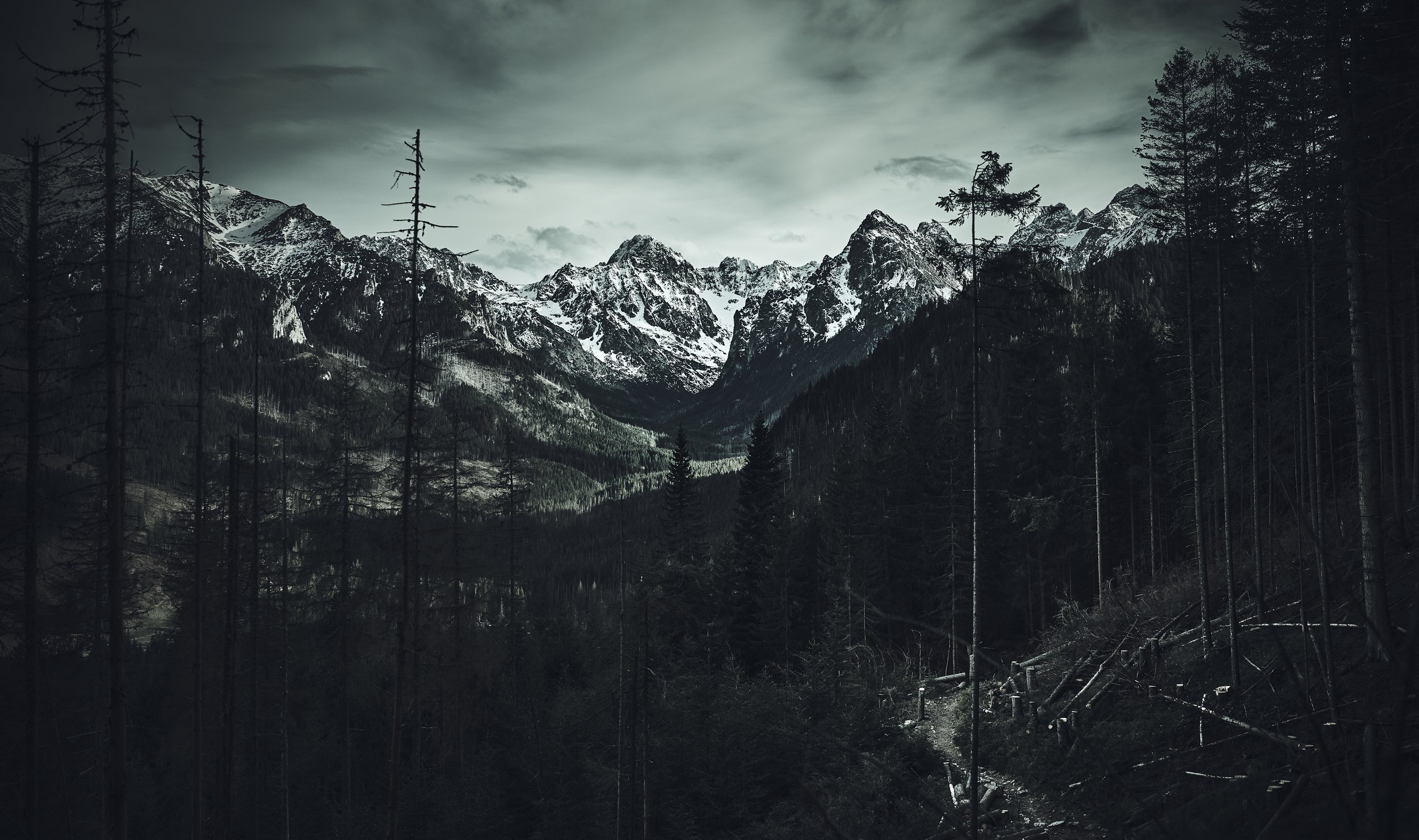 This photo won a distinction award at 34rd National Salon of Artistic Photography Żary 2024, Poland. It was a part of 3 photos series under a group name “Shades”. All of these were taken either while looking at “Gerlachov Peak” or beeing on it’s roc
