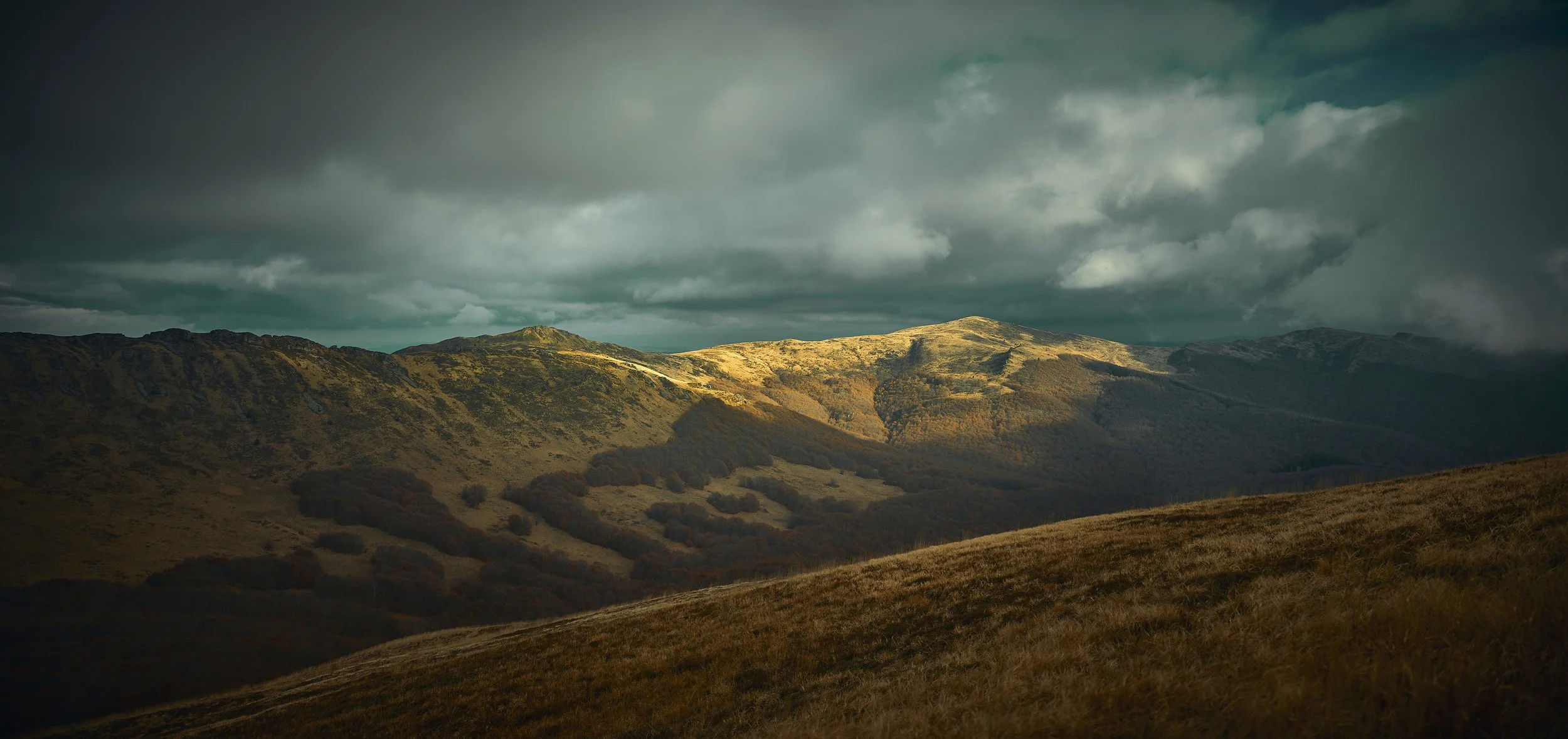 Image_10011.jpg