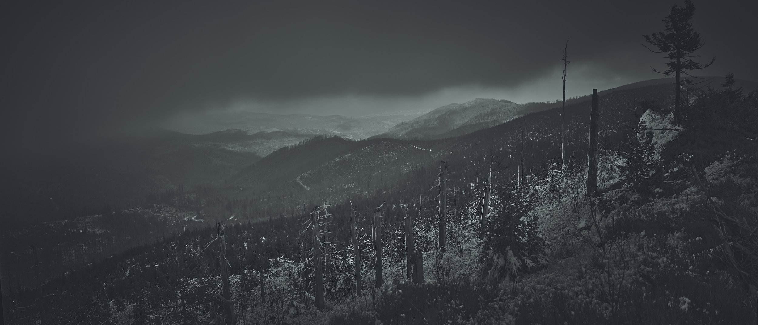 Image_10175.jpg