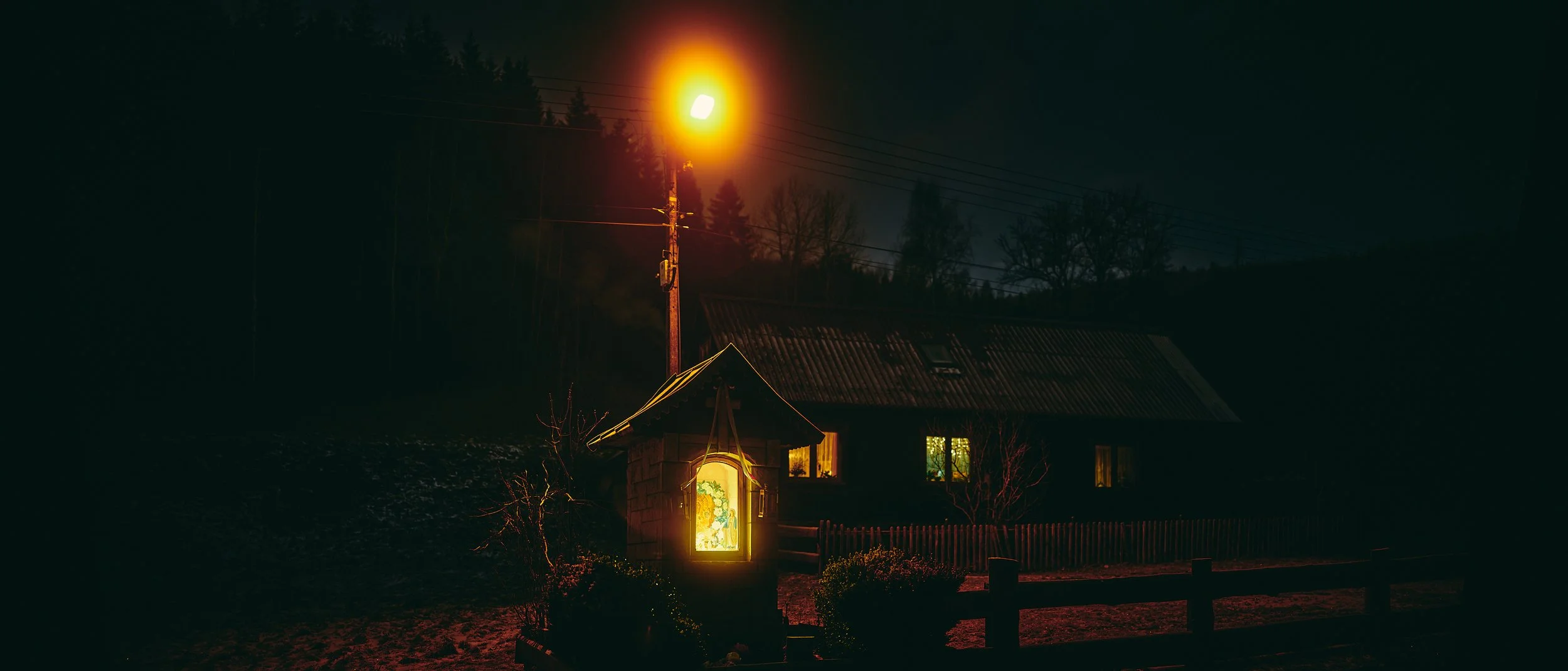   [ on the trail to “Rysianka Meadow” in “Zywiec Beskids” mountain range, Poland ]  