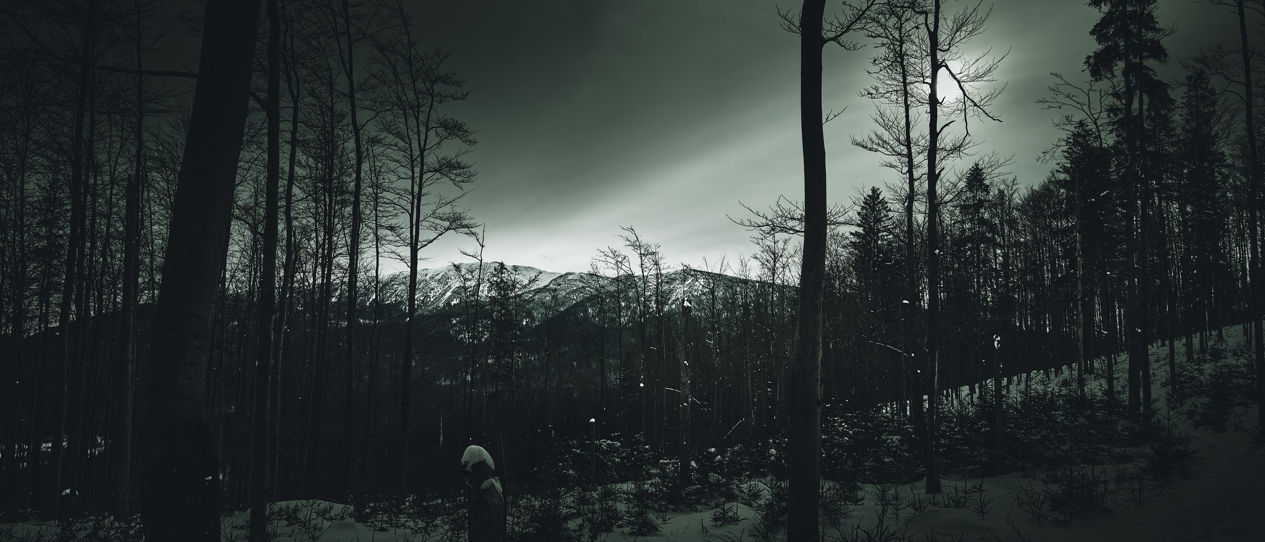   [ winter trees give this rare opportunity to see futher, allowing for veiws like this - on far “Devil's Peak” I soo love to visit, usually called “Babia Gora” in Poland; You will find tens if not more photos of it on my site btw. ]  