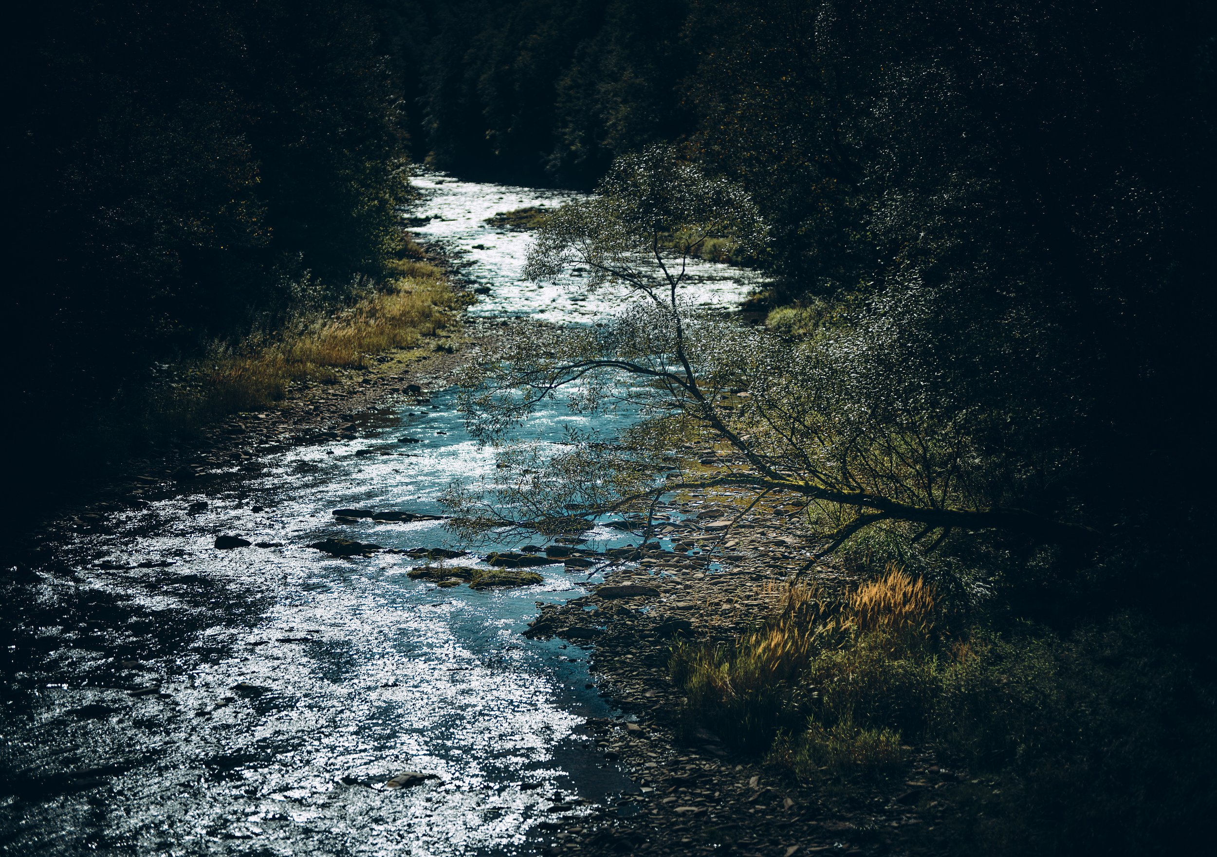 Image_6278.jpg