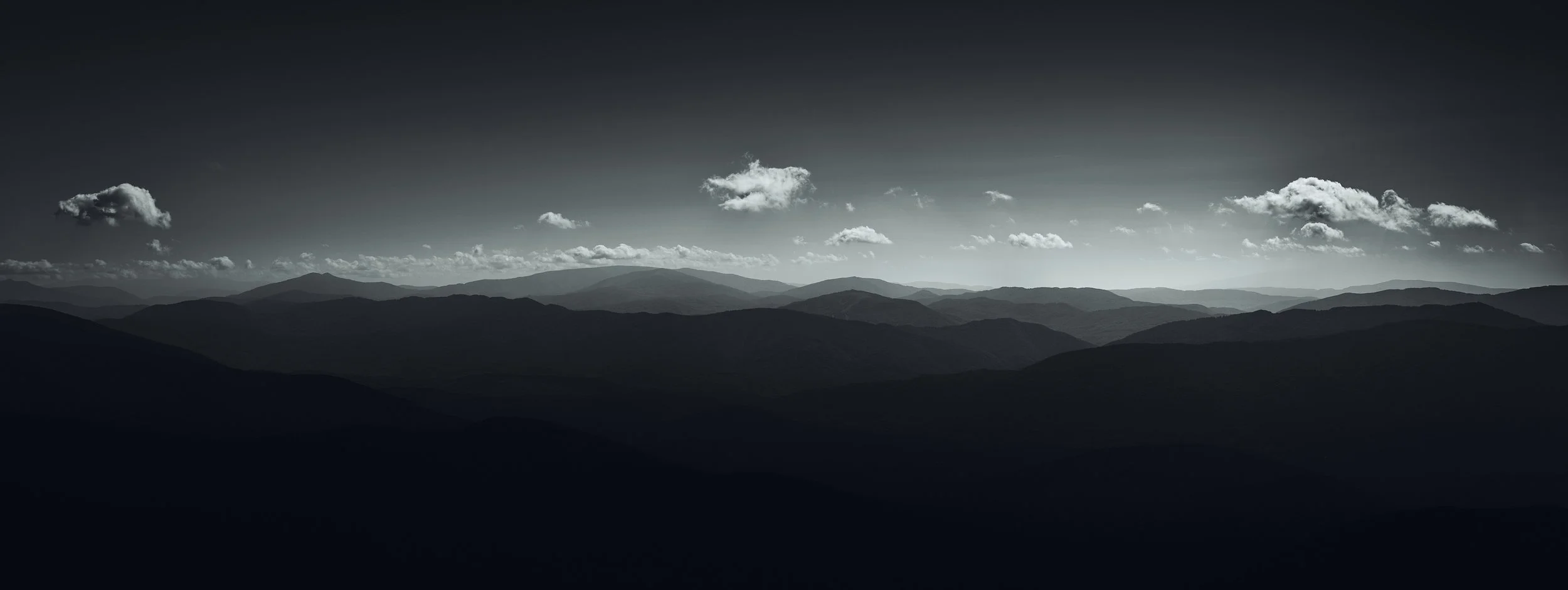 Image_6395.jpg