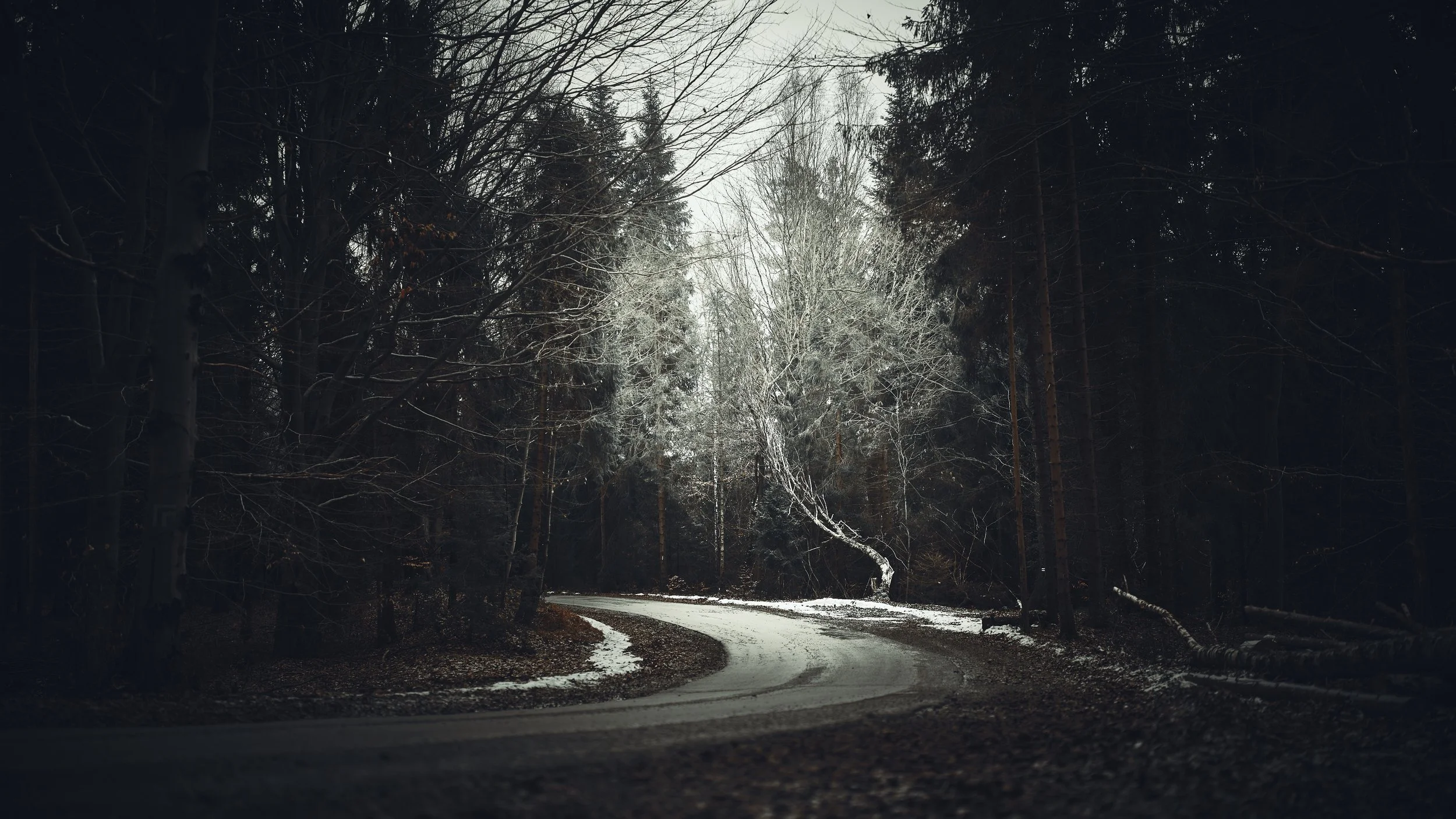   [ “2 biomes” Magurka Wilkowicka summit stroll, with frosty winters kicking in near the top - strating with this and following with next 7 photos, late January, Poland ]  