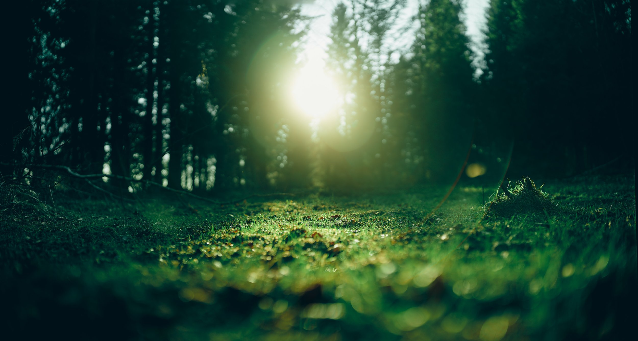   [ Magurka again, with last days of winter allowing for a early bits of warm sun, the beginning of March 2026 ]  