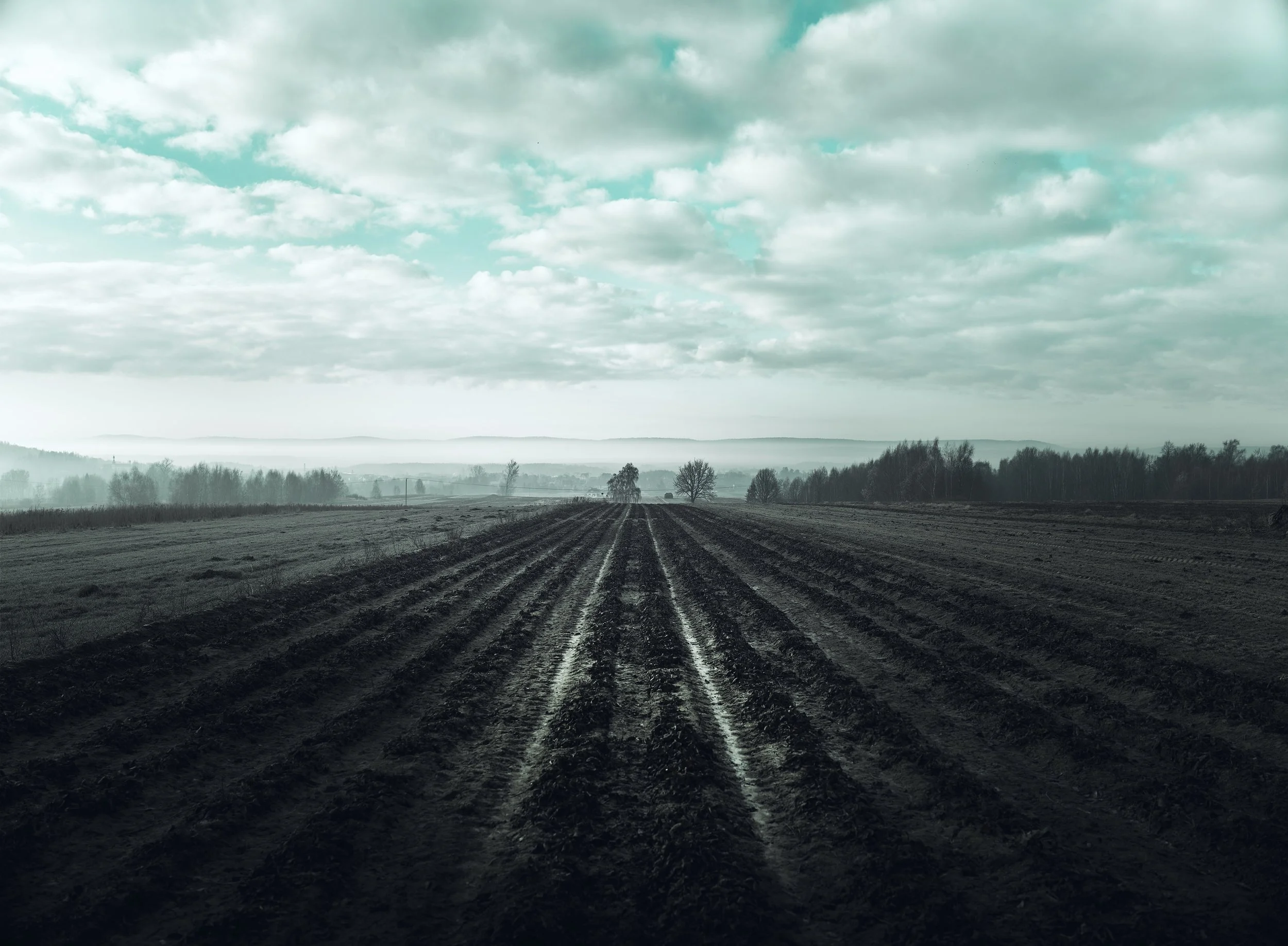   [ The Swietokrzyskie Mountains, middle of March, after a long, 48km, one night / 10 hours EDK walk ]  