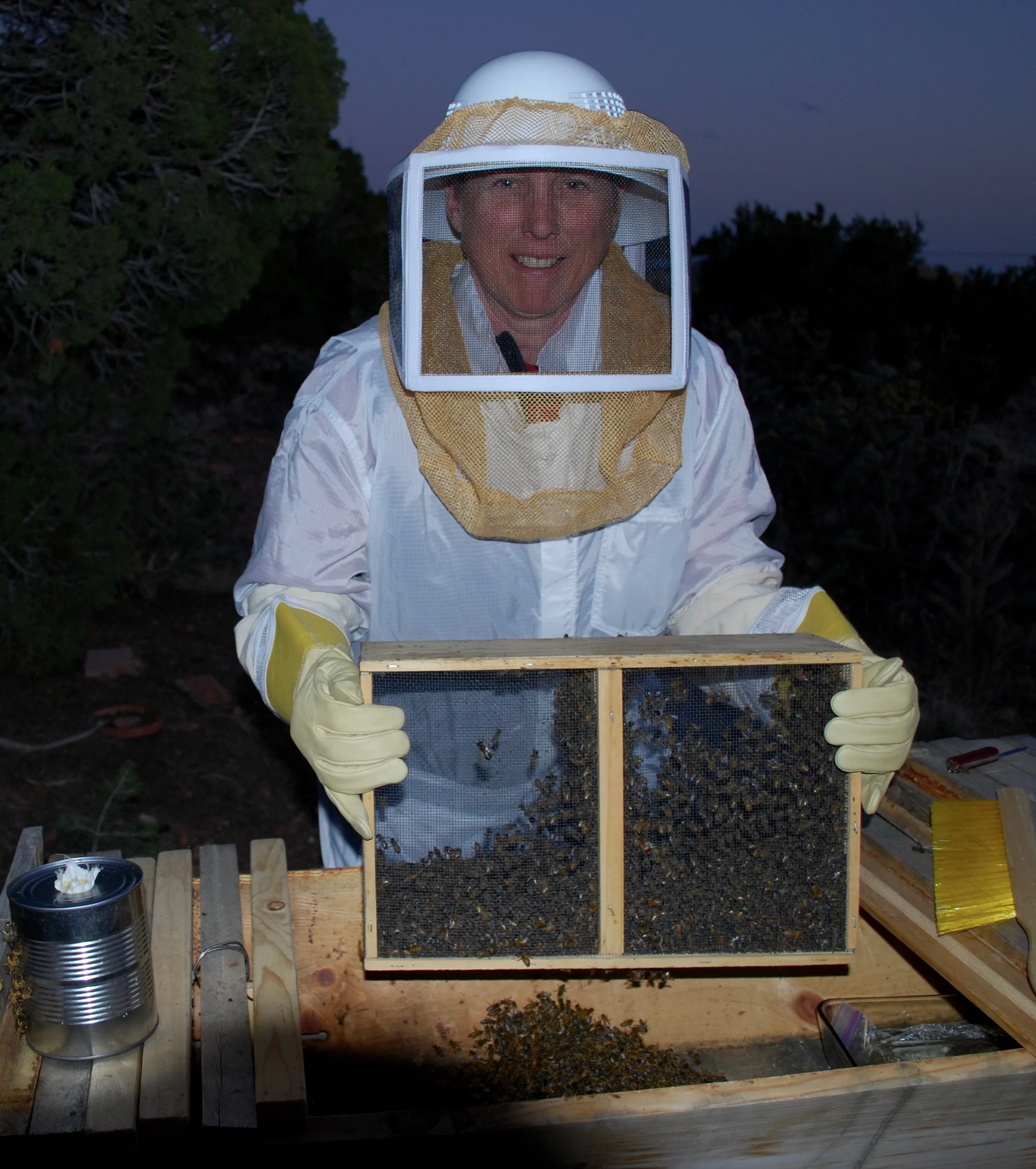 Beekeeping