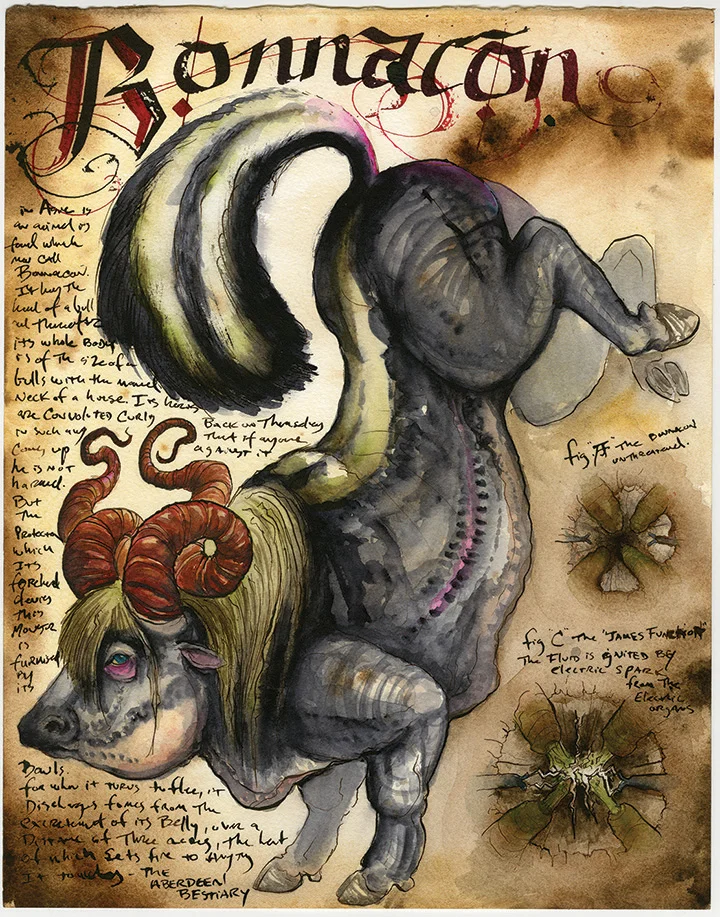 FGU Bonnacon 01.jpg