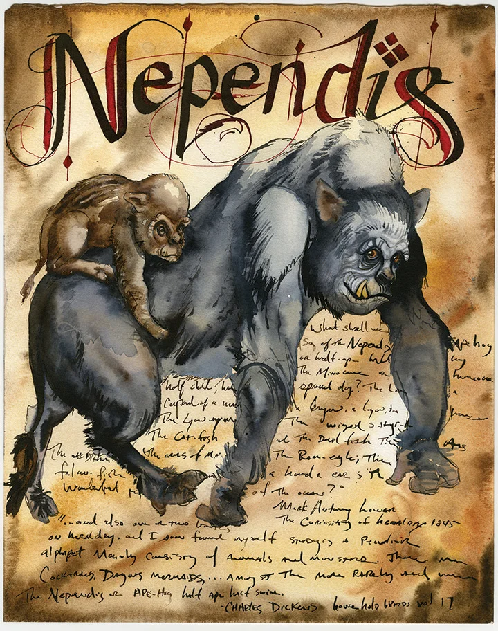 FGU Nependis 02.jpg