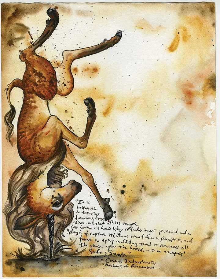 Cartazonon Facing Page