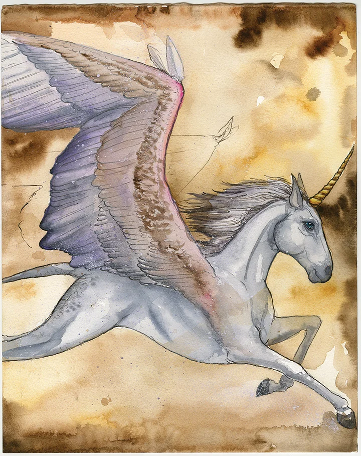 Alicorn Paired Only