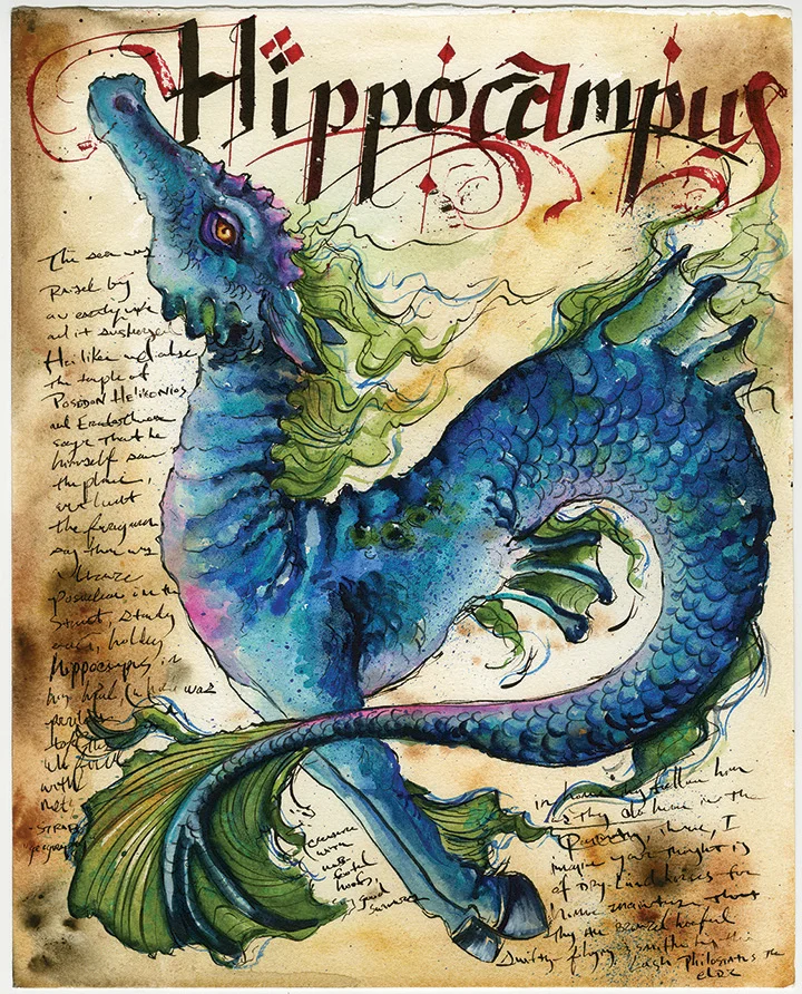 Hippocampus-ADOPTED