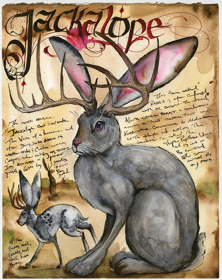 Jackalope-ADOPTED