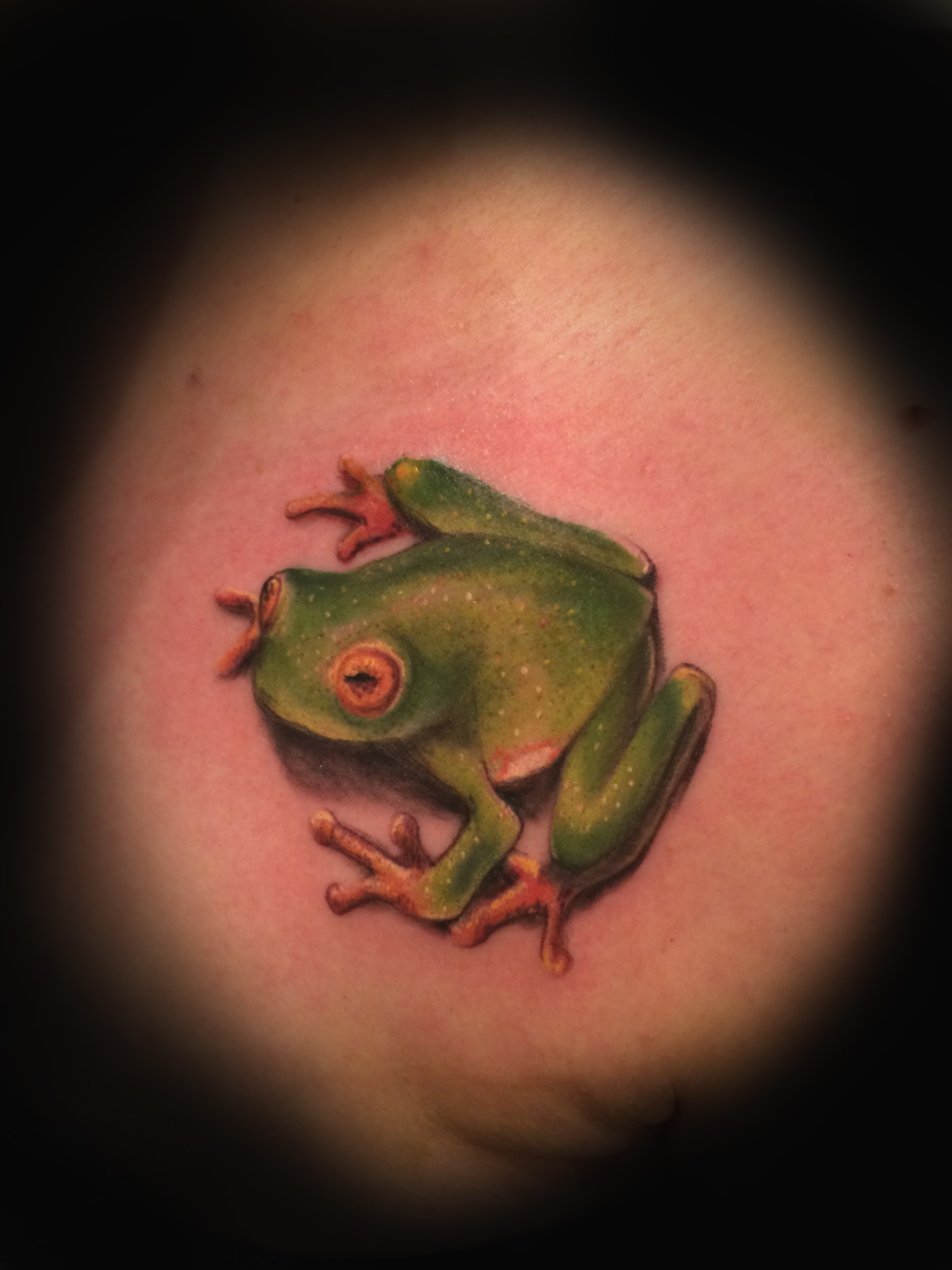 frog.jpg