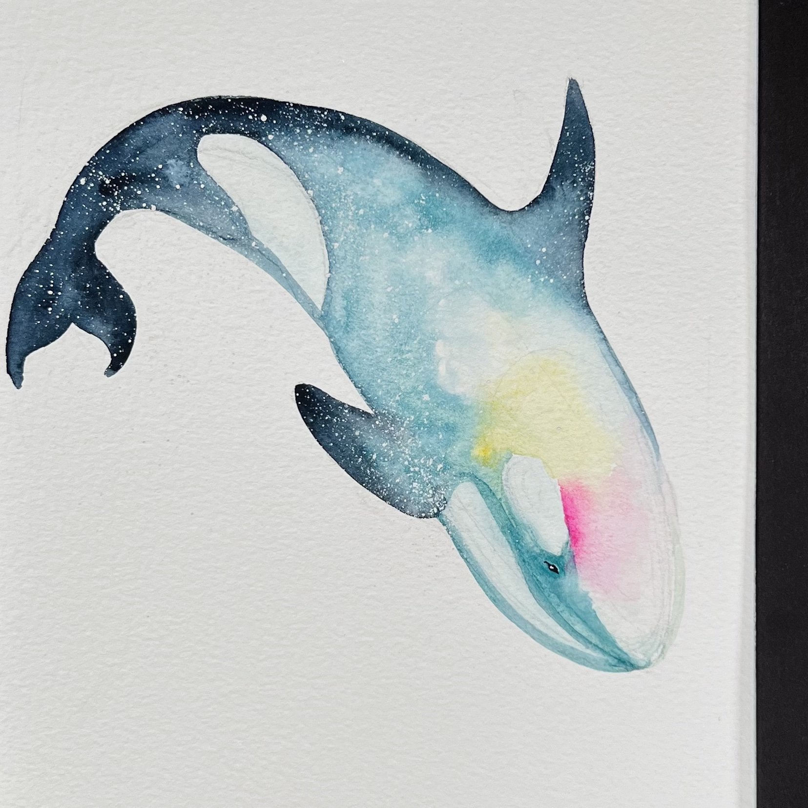 Orca
