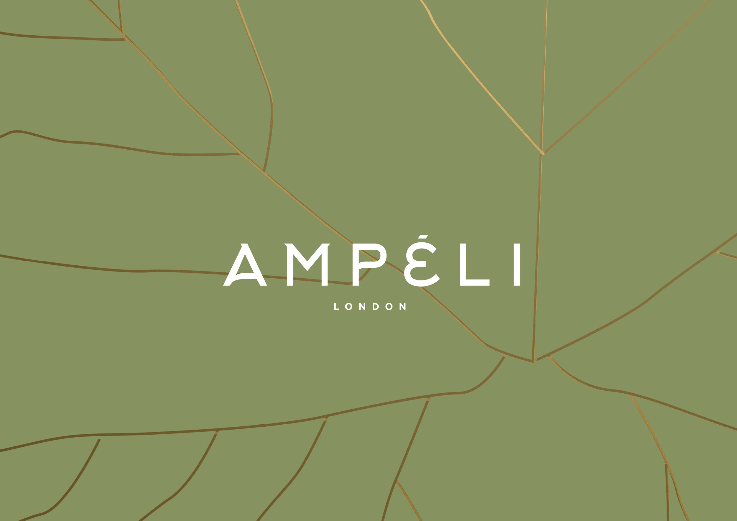 Ampeli_on_Leaf.jpg