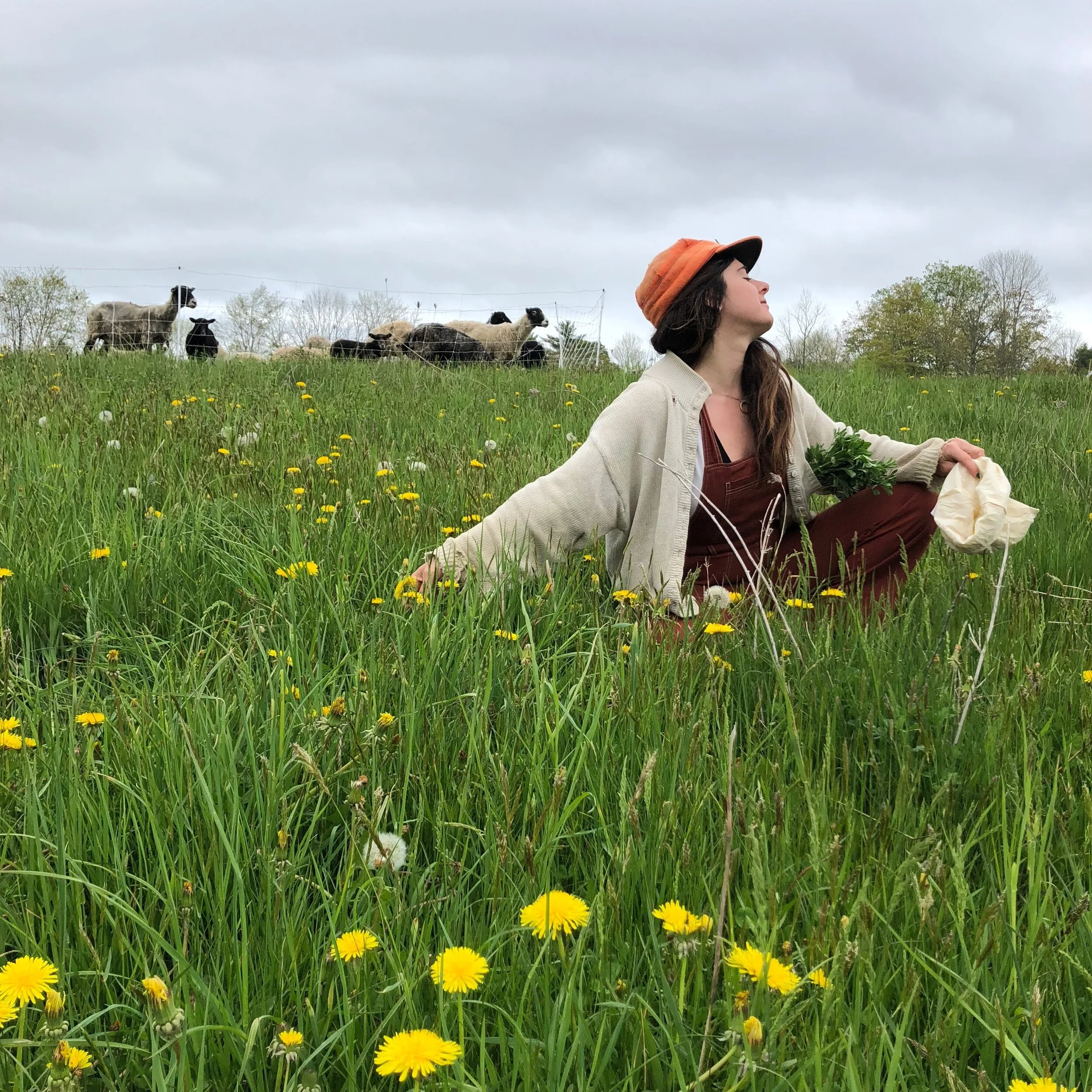 The KISMET Foundation 2020 Artist-in-Residence VIRTUAL Fundraiser - A Feast for All the Senses