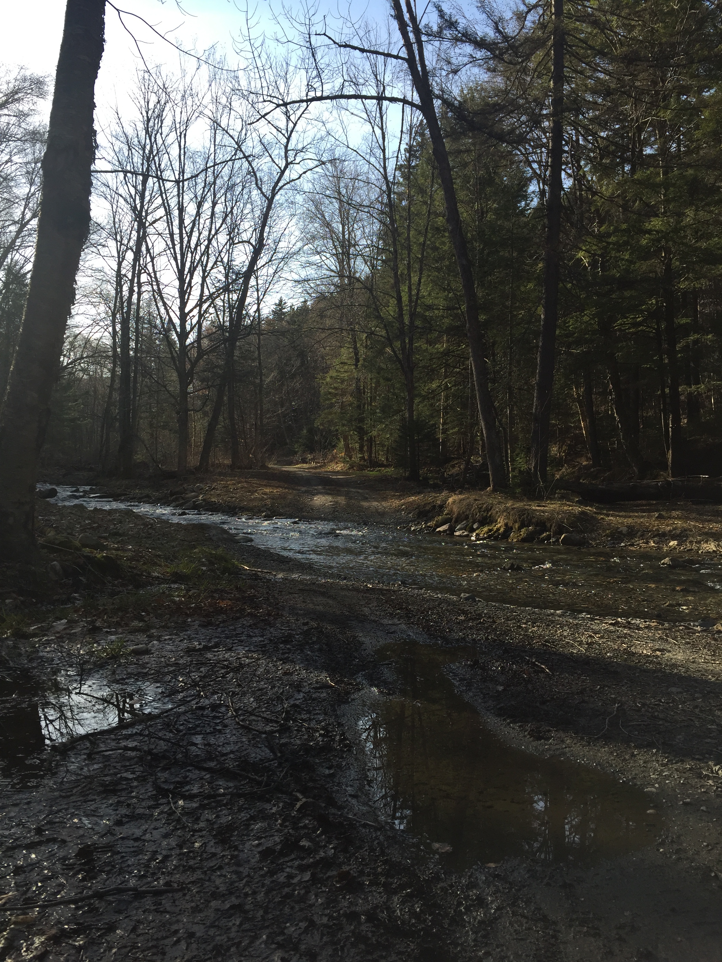 Legit water crossing for IRR 6.0, all your dreams are coming true.