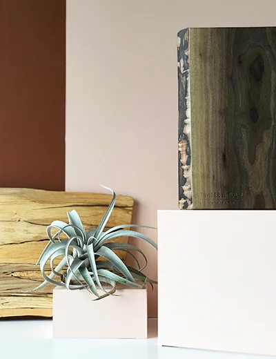 timber-tulip_LAB_web.jpg