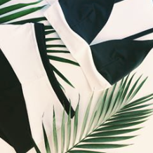Hackwith Design House